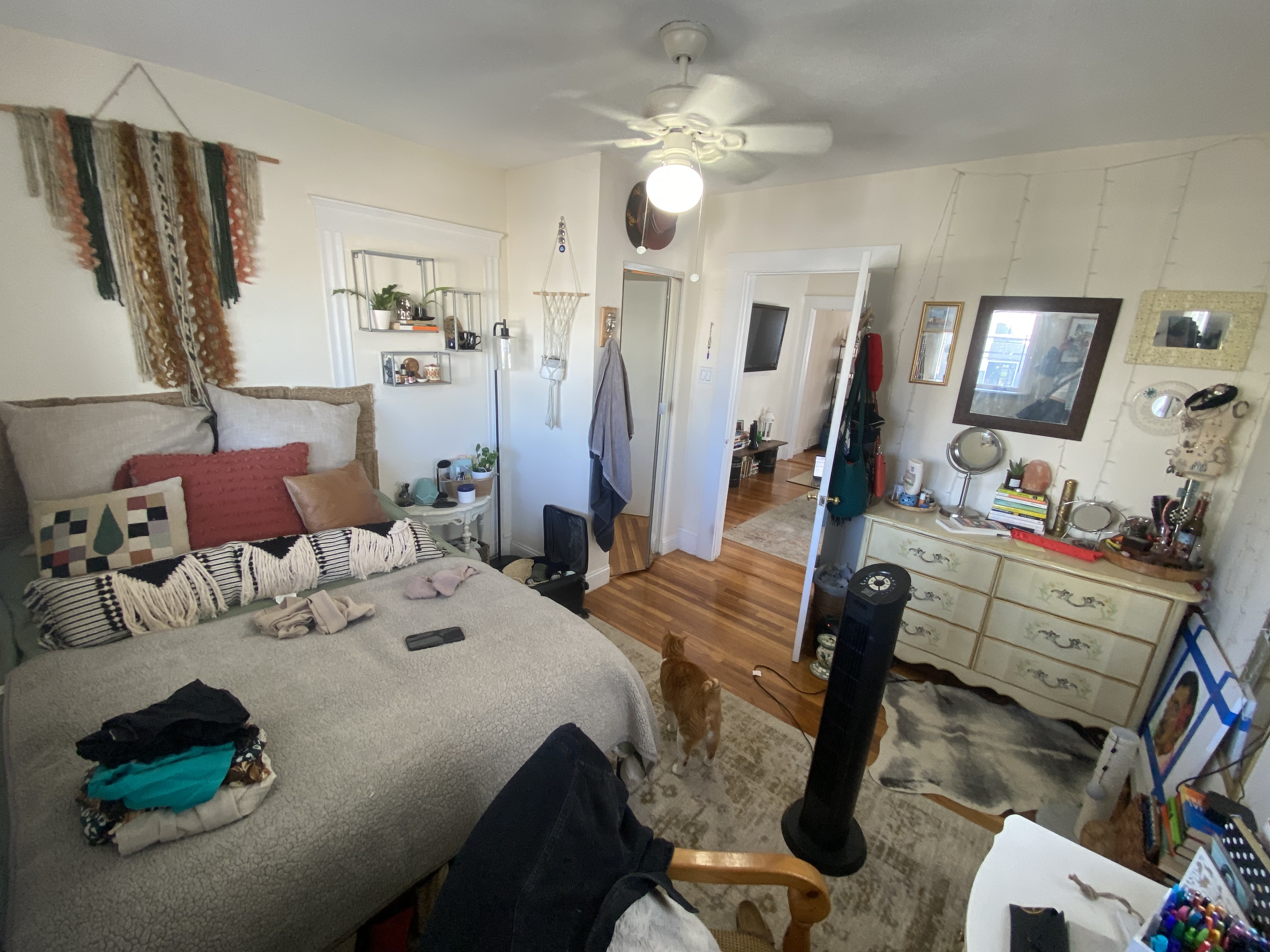 236 Cedar St, East Somerville