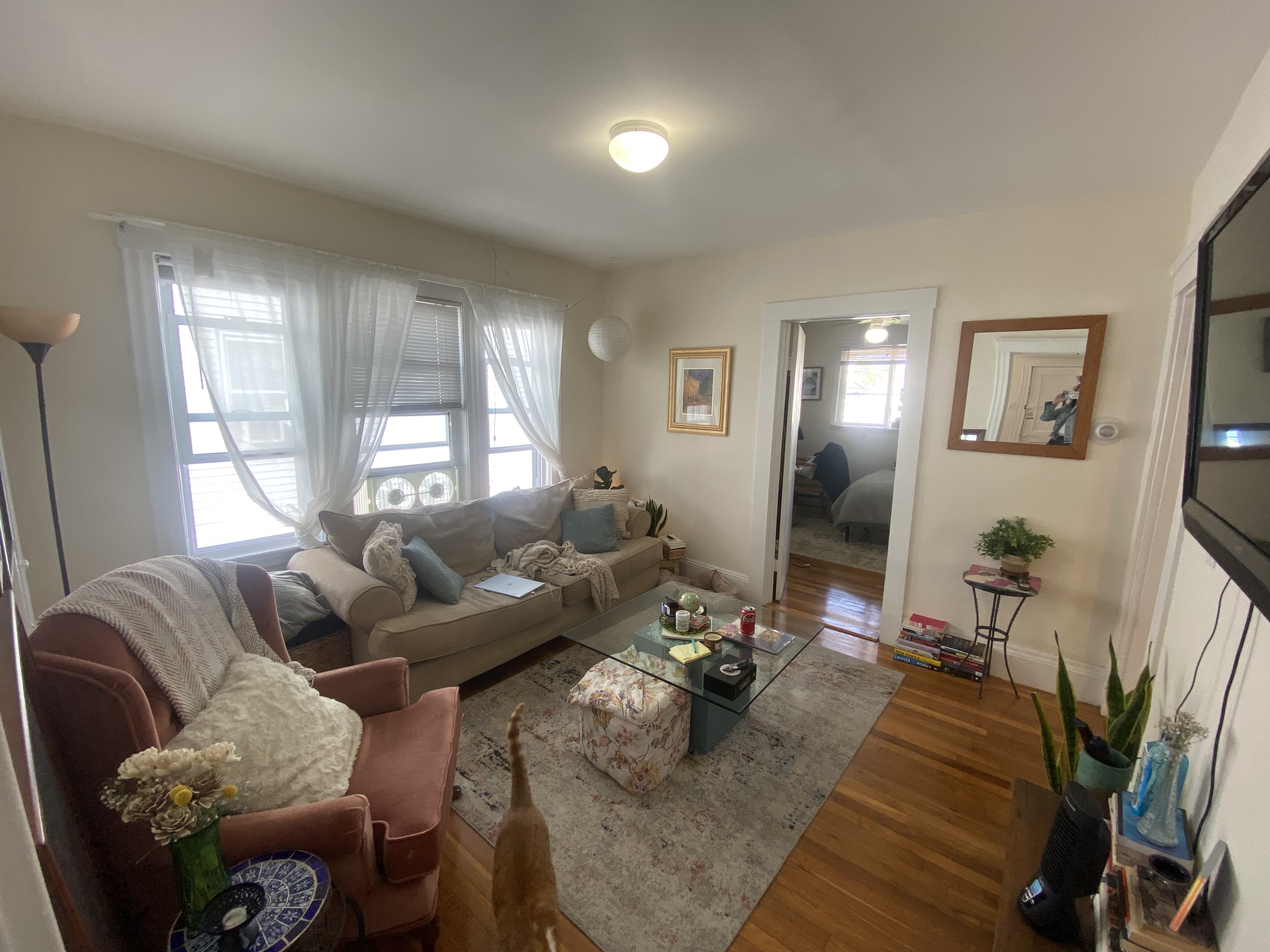 236 Cedar St, East Somerville