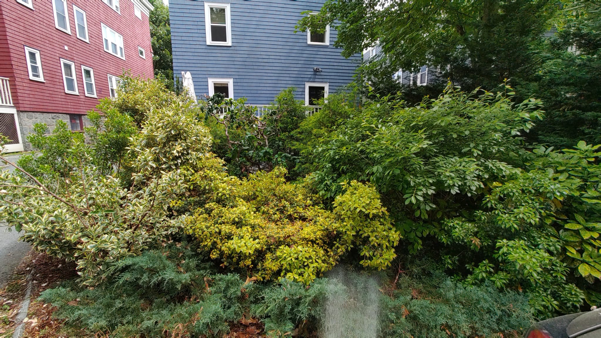 21 Saint Peter St, Jamaica Plain