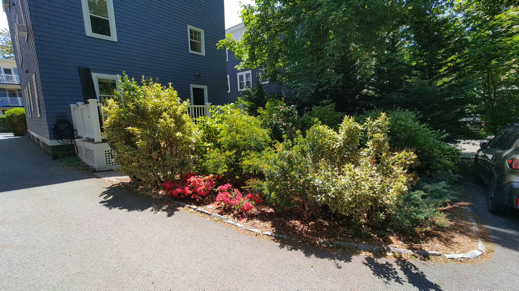 21 Saint Peter St, Jamaica Plain