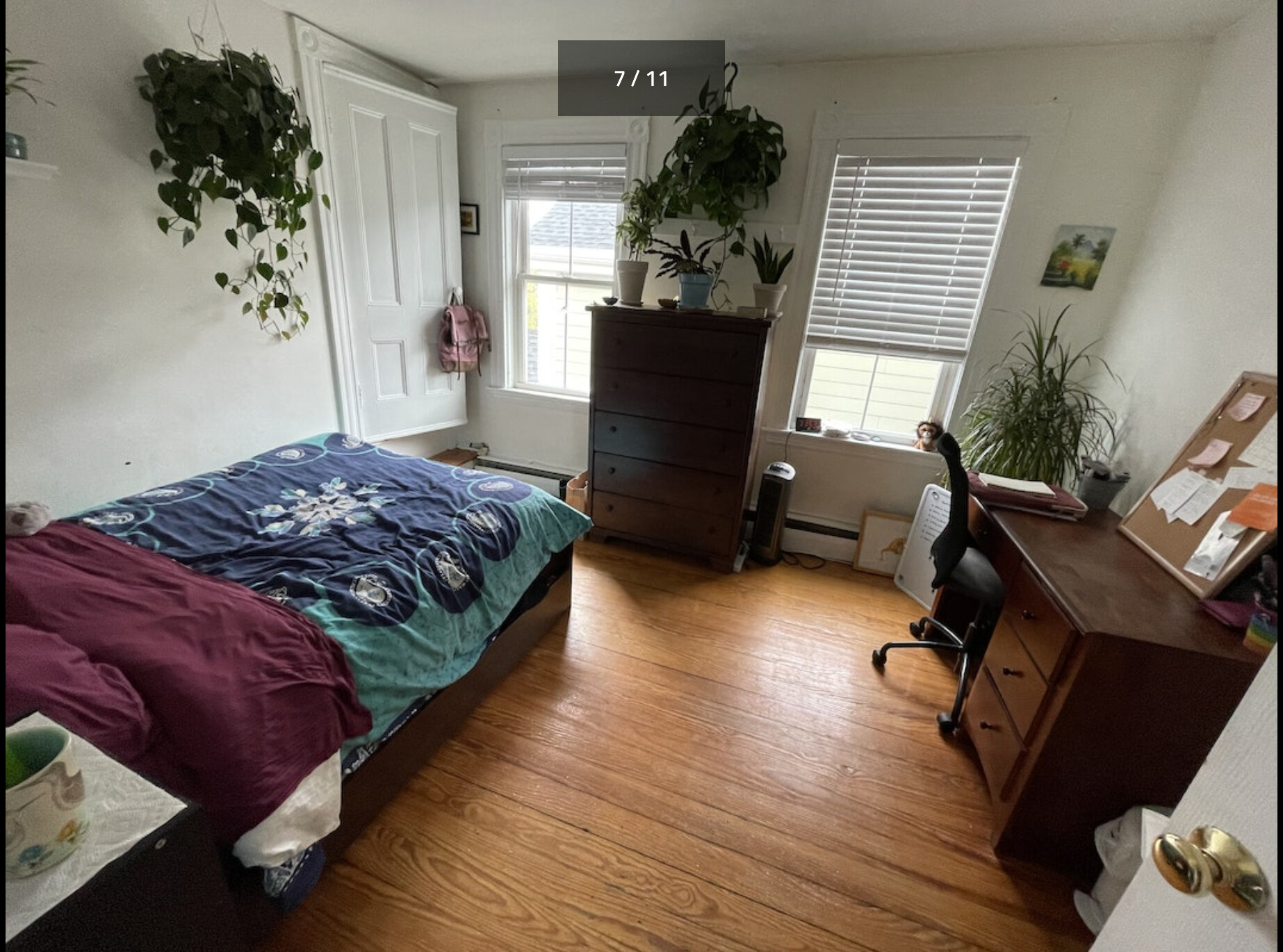 5 Durham St, Inman Square