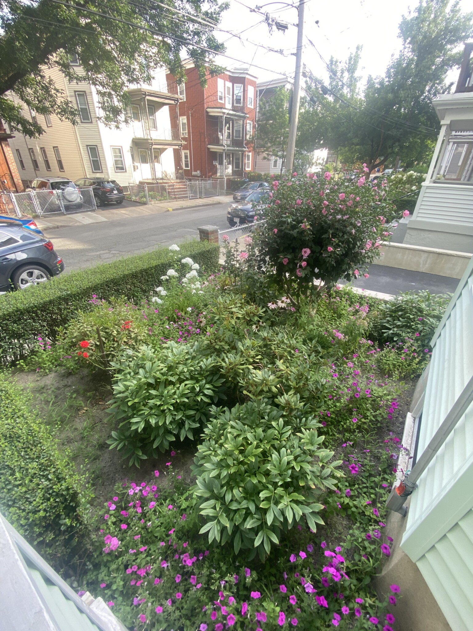 2 bed, 1 bath apartment for rent at 62 Grant St Unit 1, Somerville — photo 8 of 26