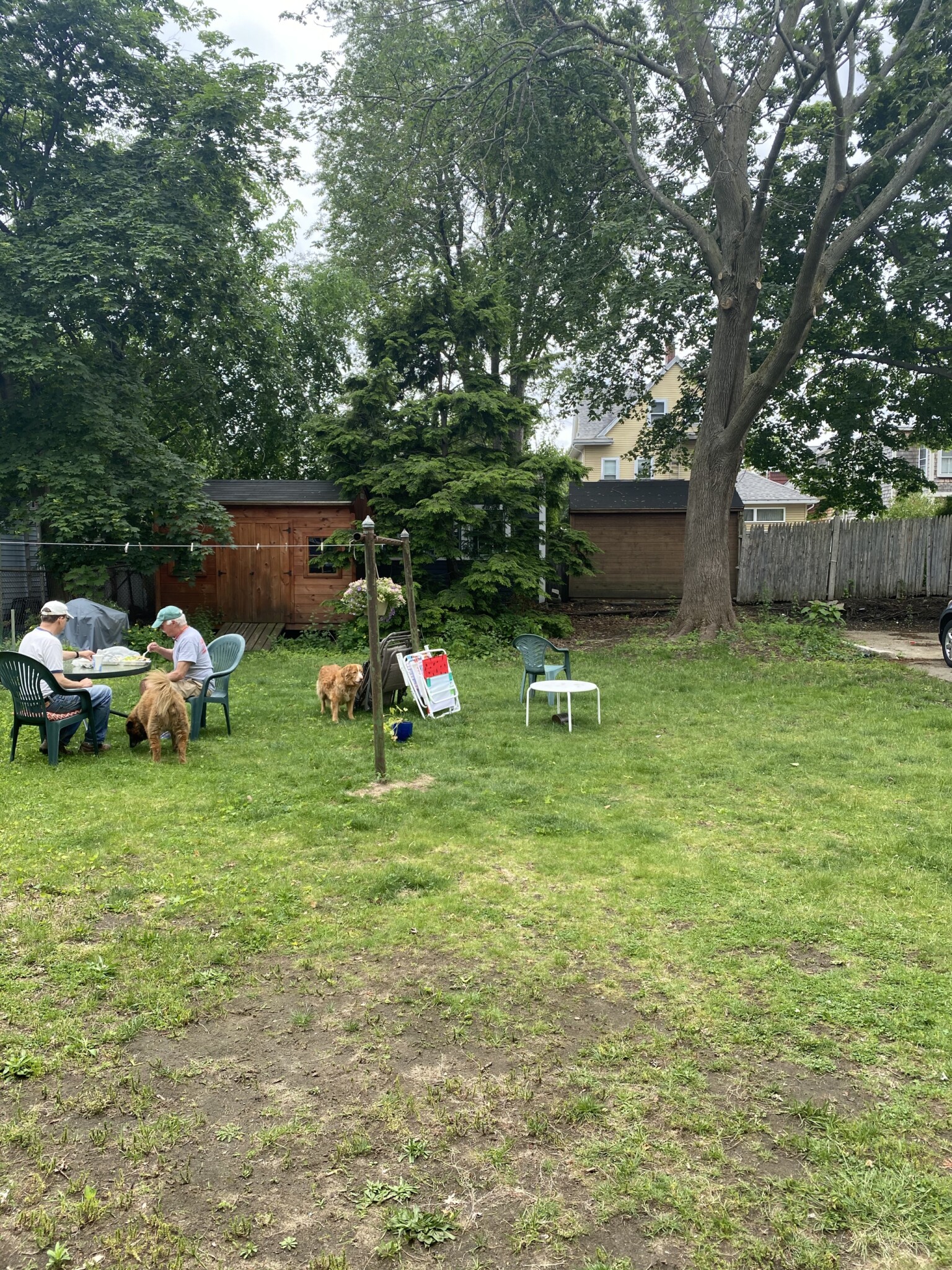 24 Norris St, North Cambridge