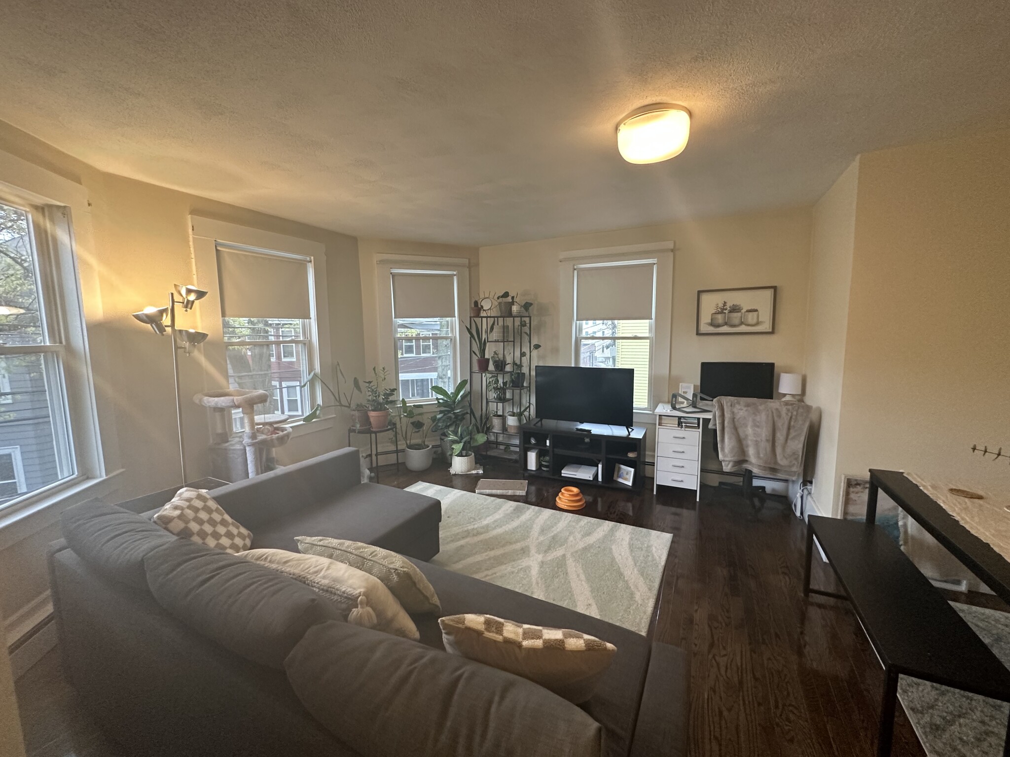 Photos of apartment on Line St.,Somerville MA 02143