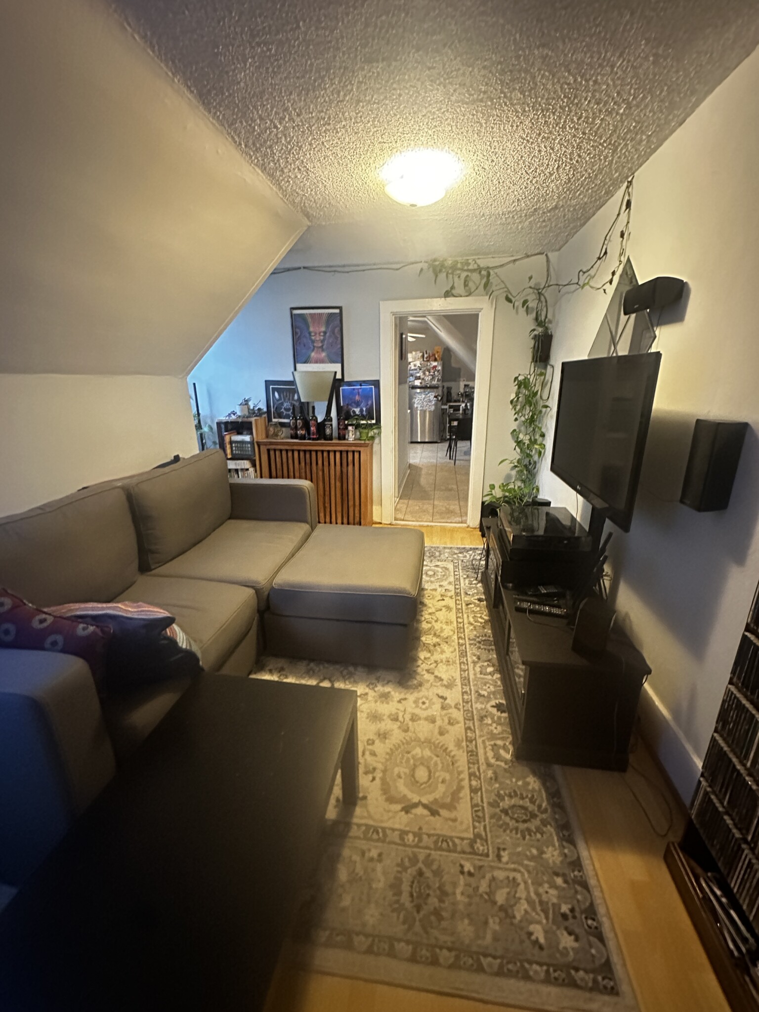 Concept Properties