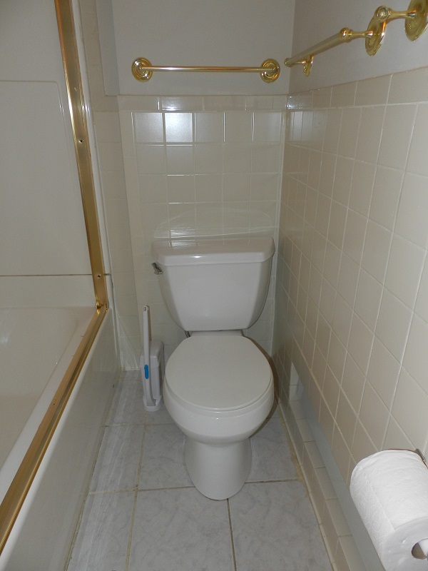 3 bed, 1 bath apartment for rent at 453 Cambridge St Unit 3, Allston — photo 16 of 17