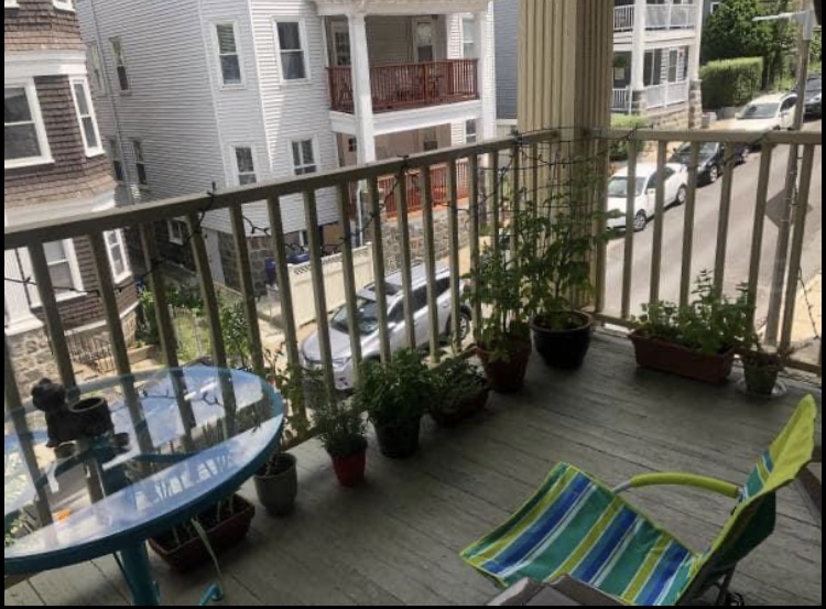 40 Parkton Rd, Jamaica Plain