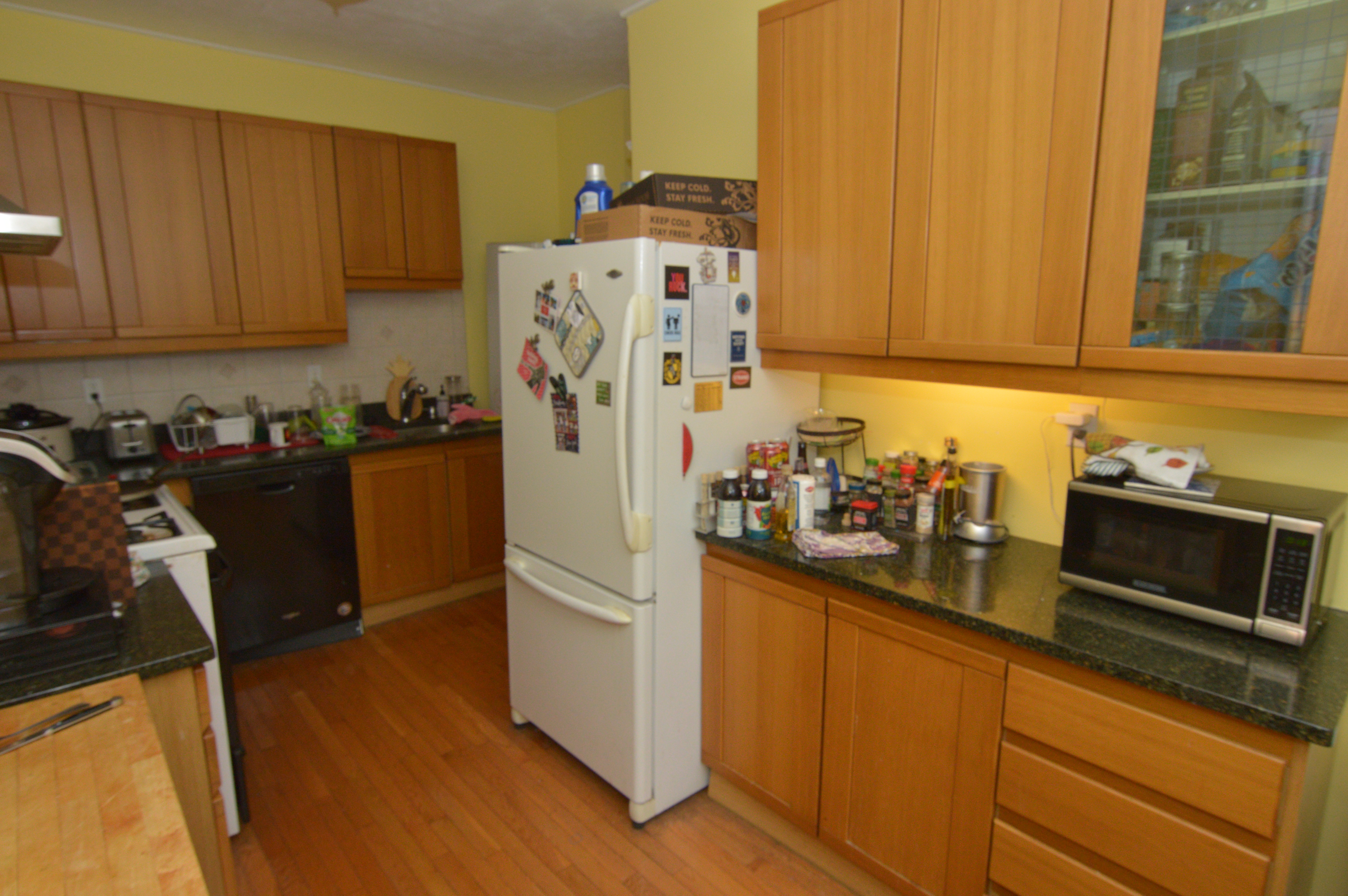 1988 Commonwealth Ave, Brighton