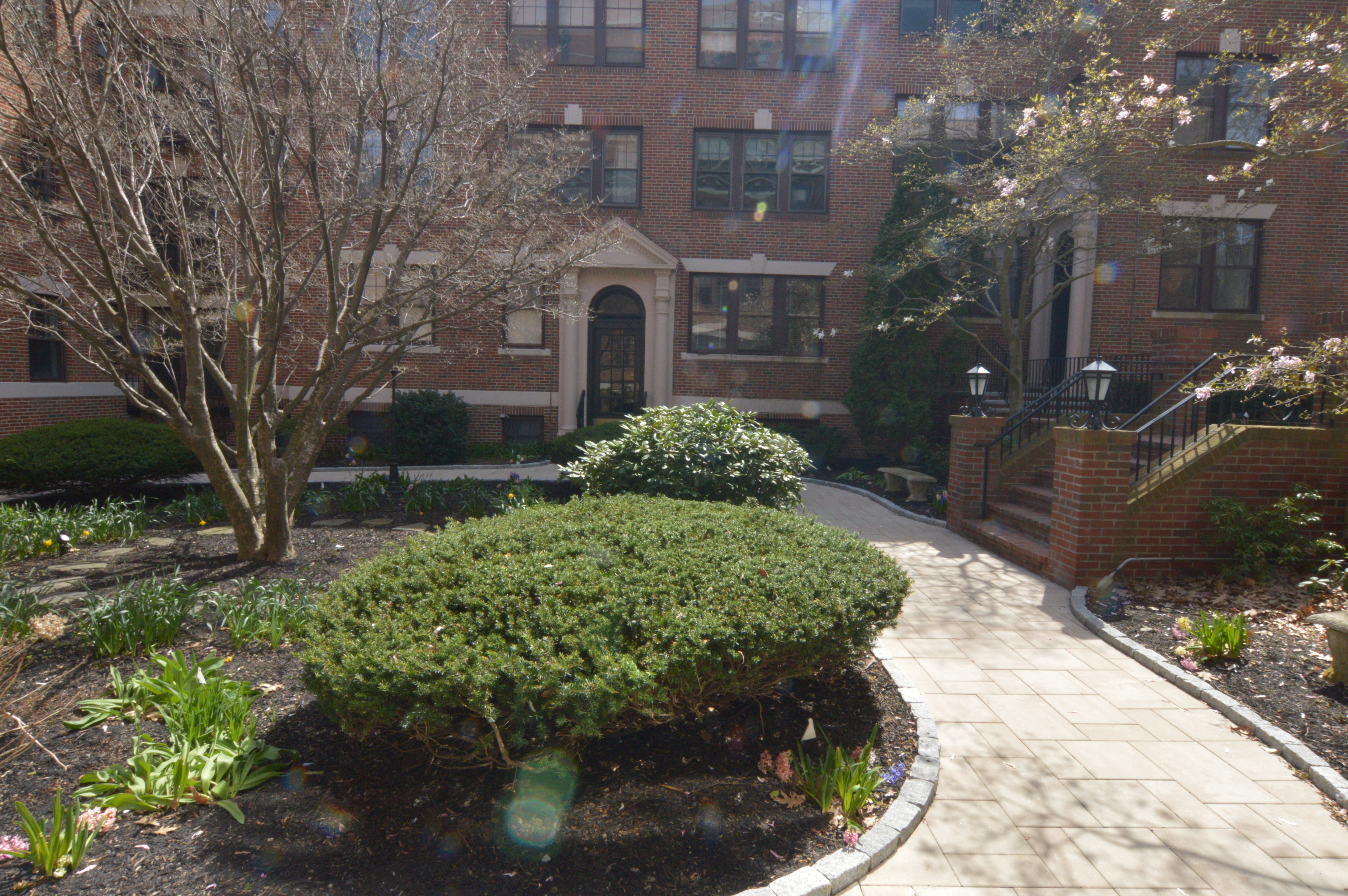 1988 Commonwealth Ave, Brighton