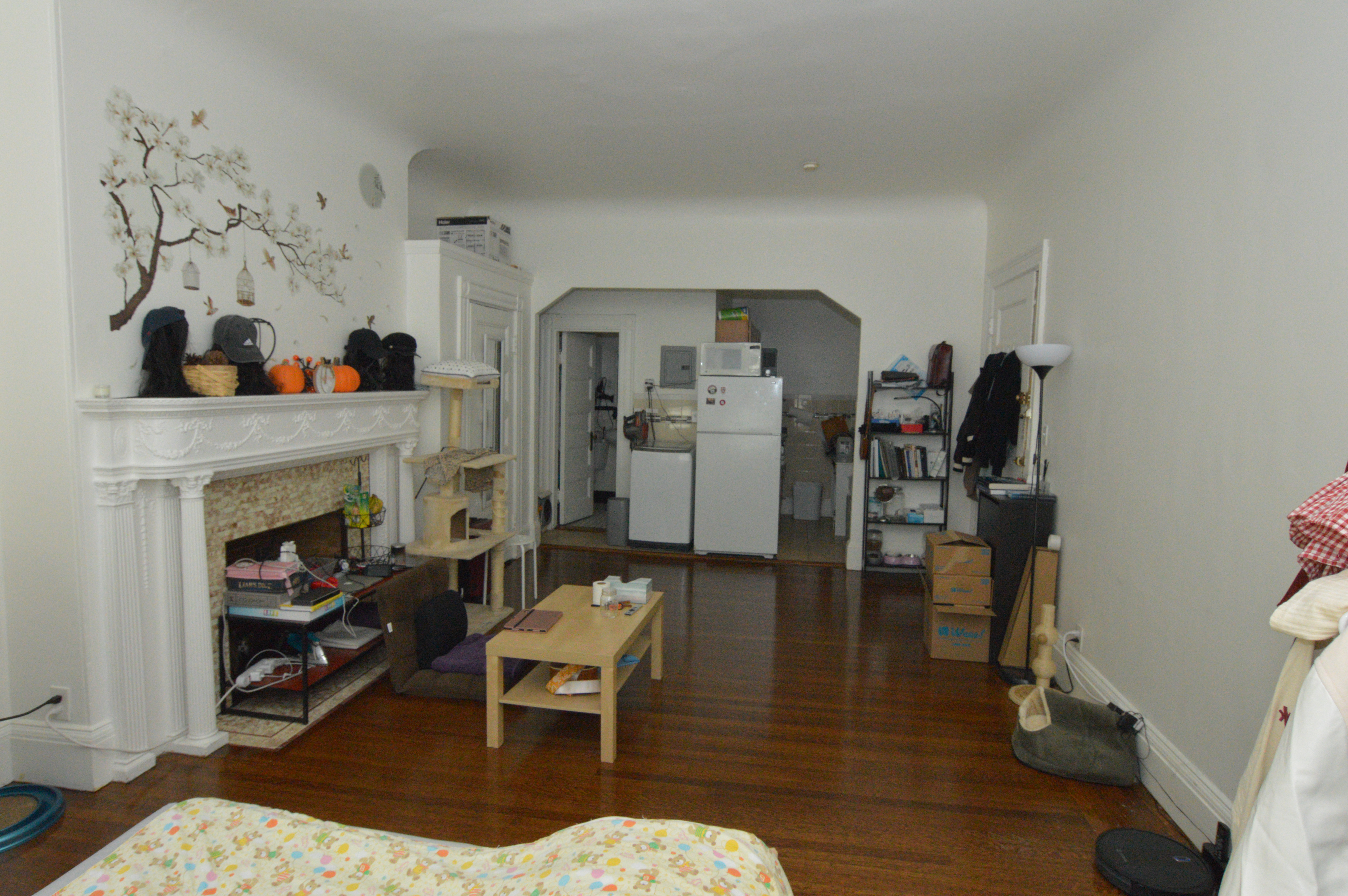 847 Beacon St, Fenway