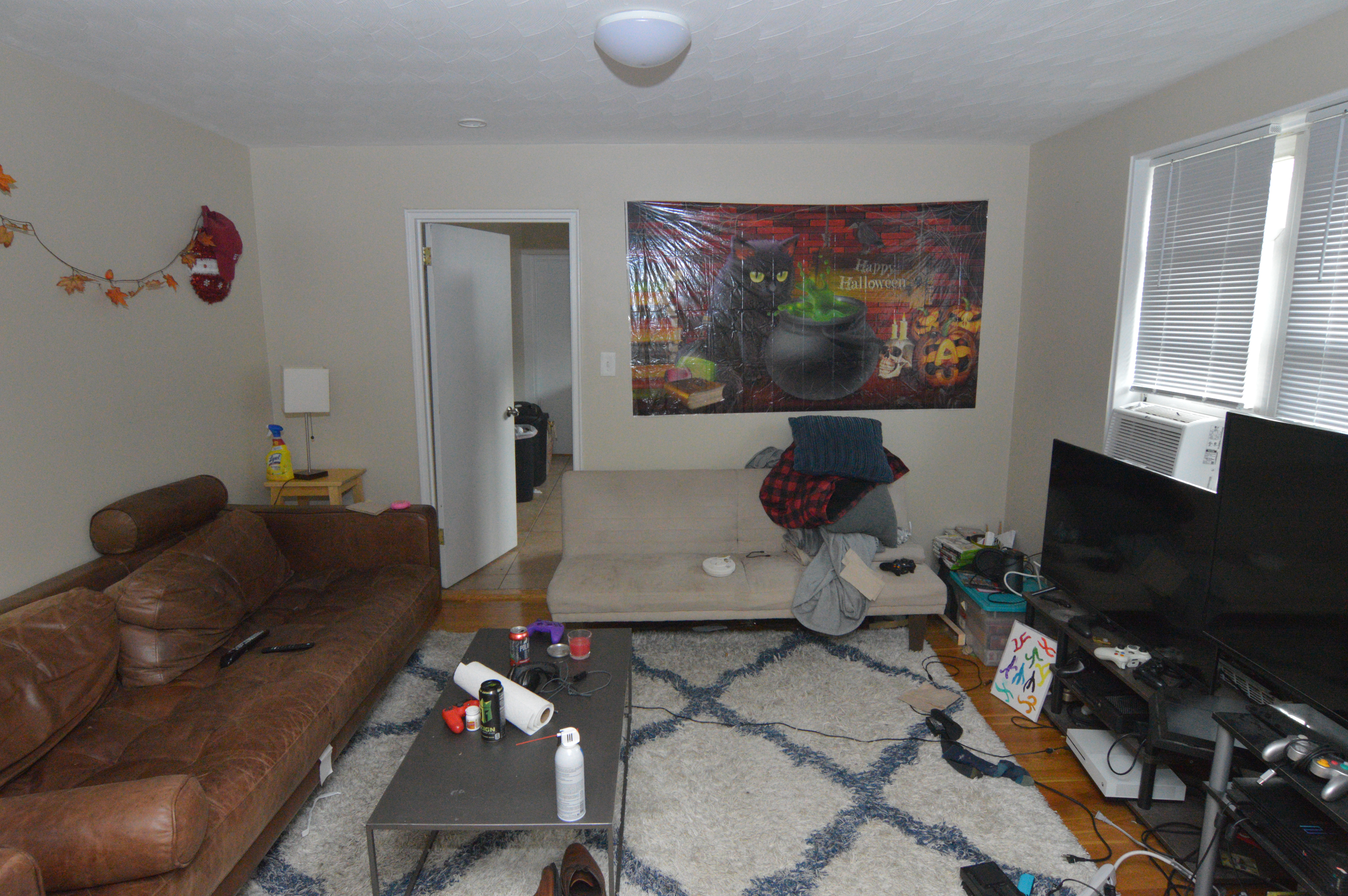 273 Corey Rd, Brighton