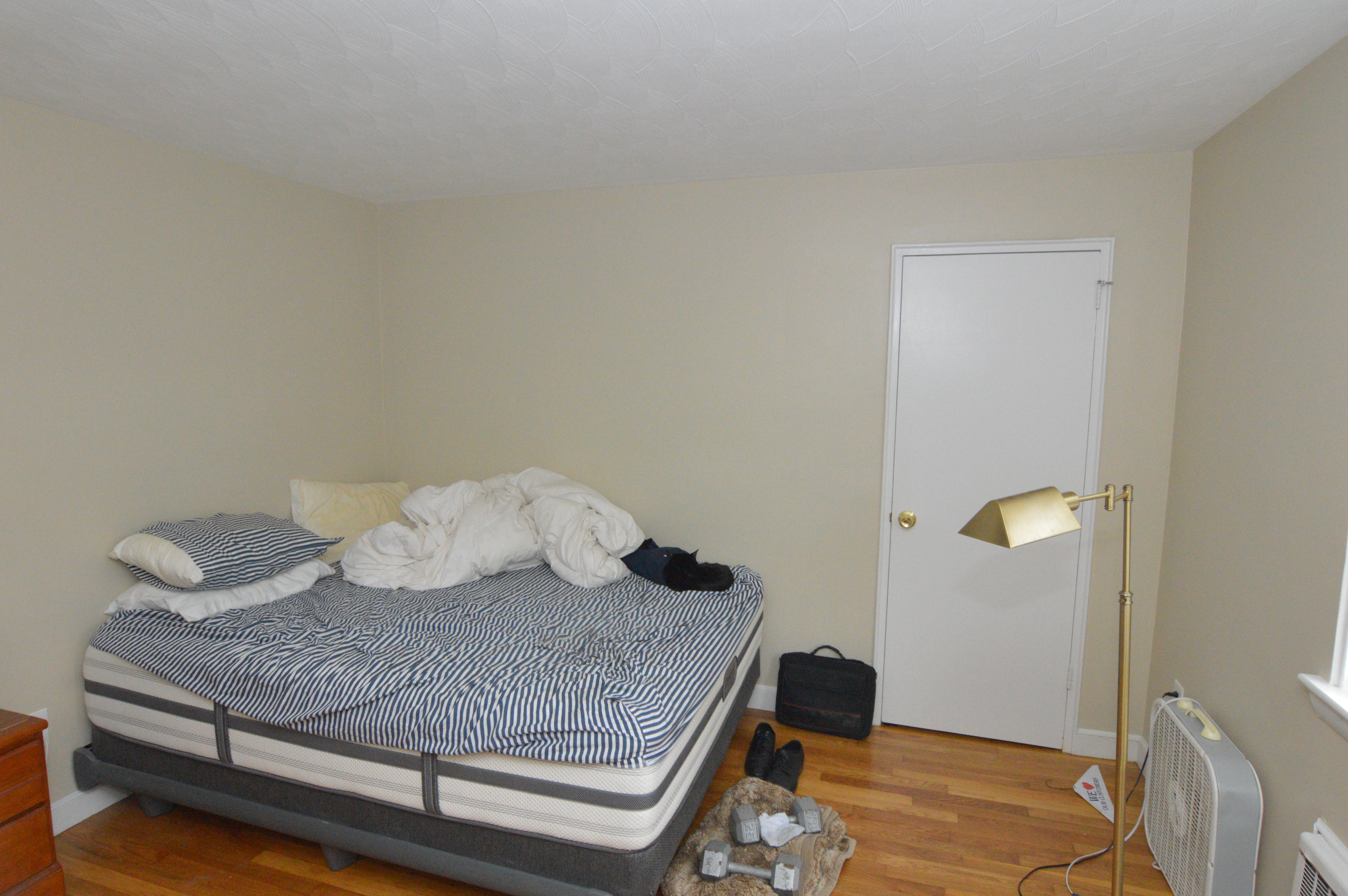 273 Corey Rd, Brighton