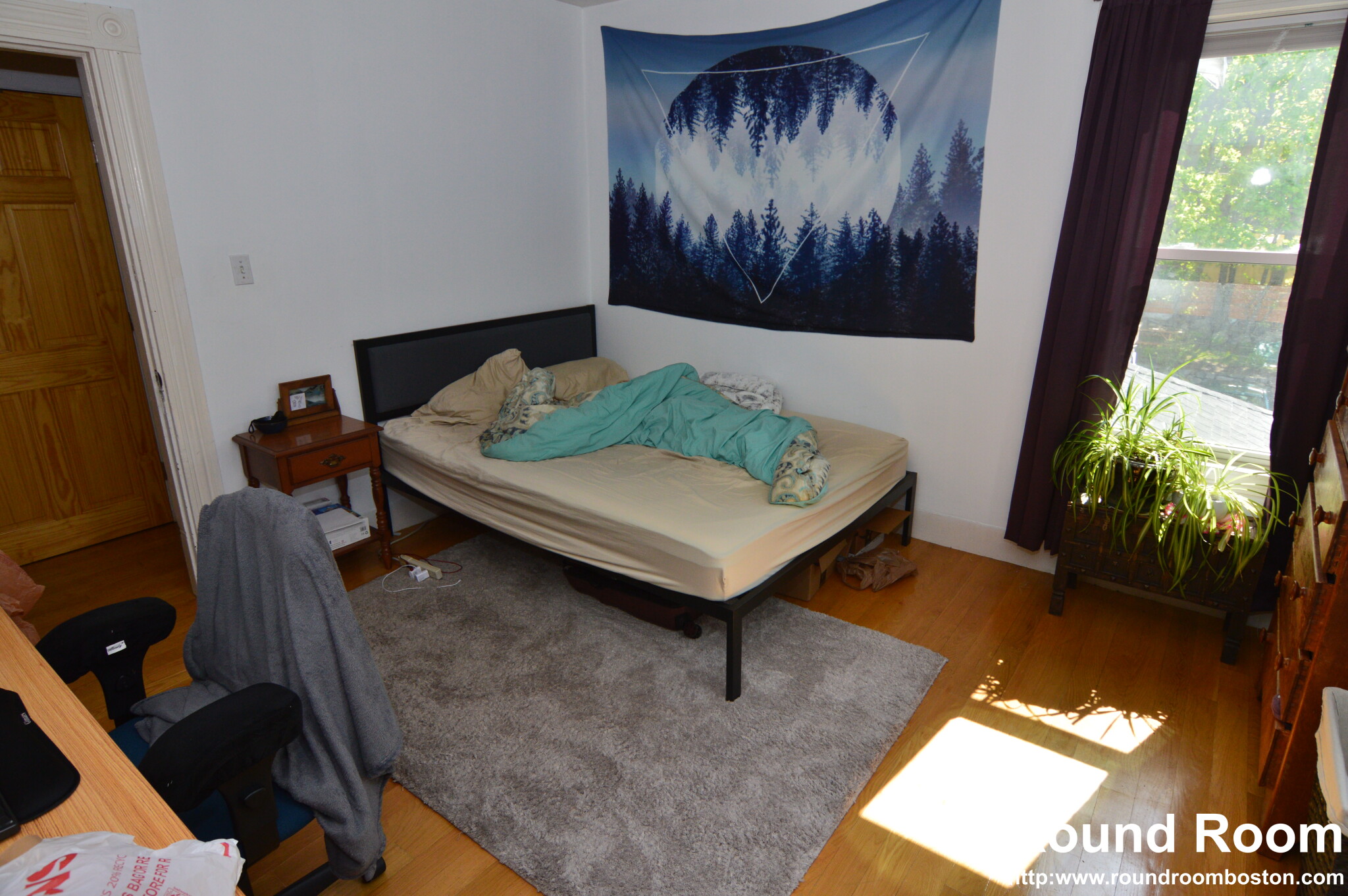 274 Crescent St, South Waltham