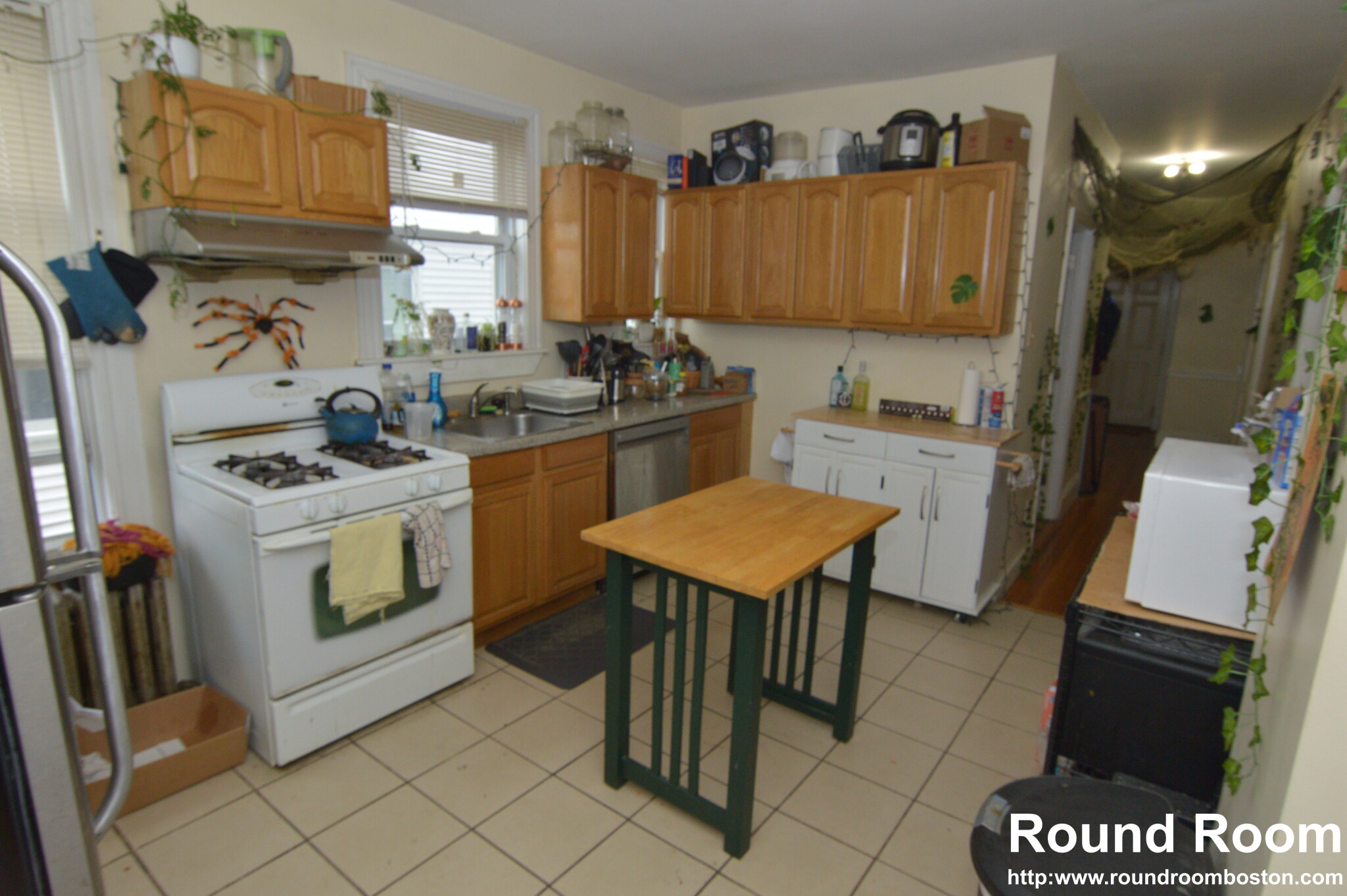 110 Murdock St, Brighton