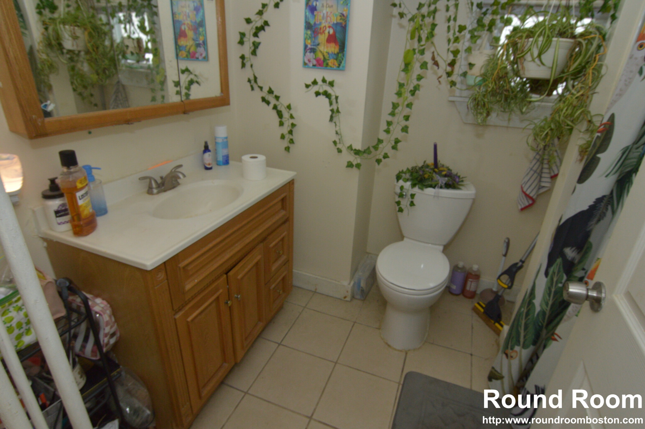 110 Murdock St, Brighton