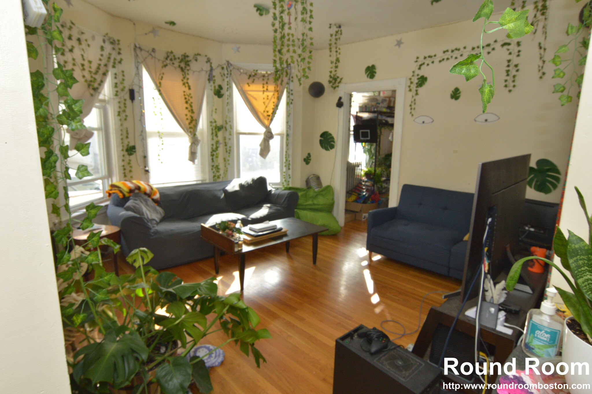 110 Murdock St, Brighton