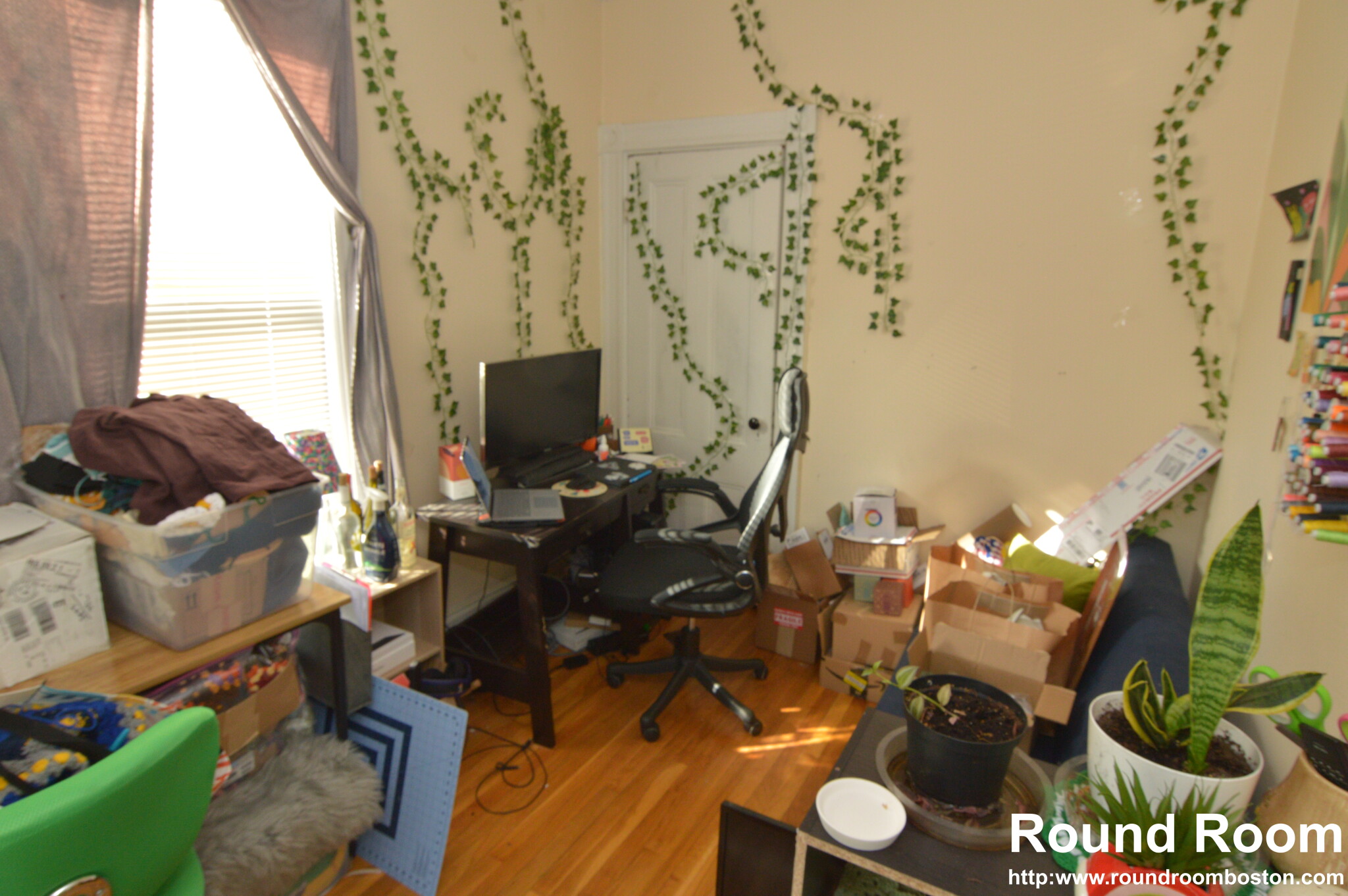 110 Murdock St, Brighton