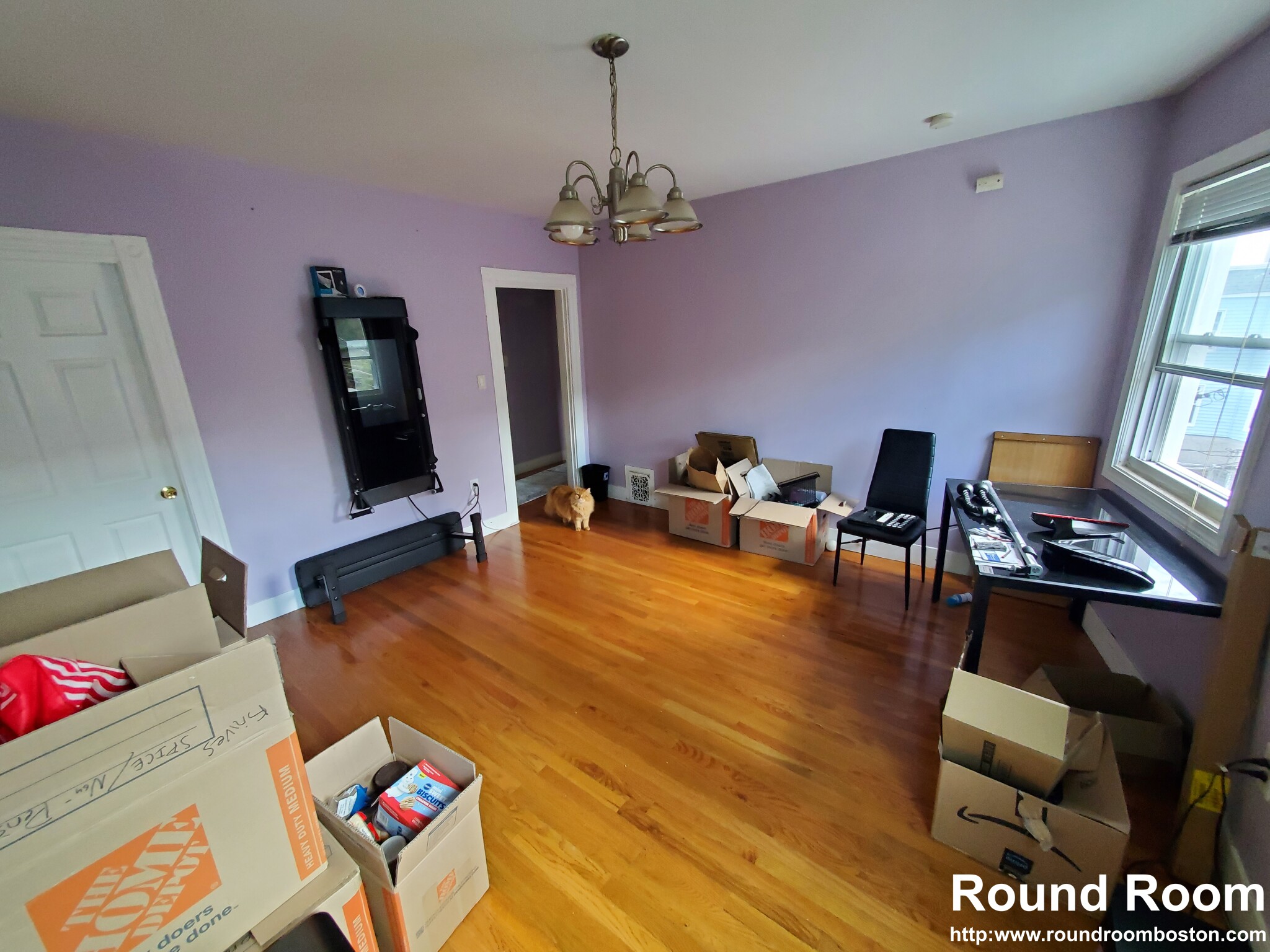 28 Moreland St, East Somerville