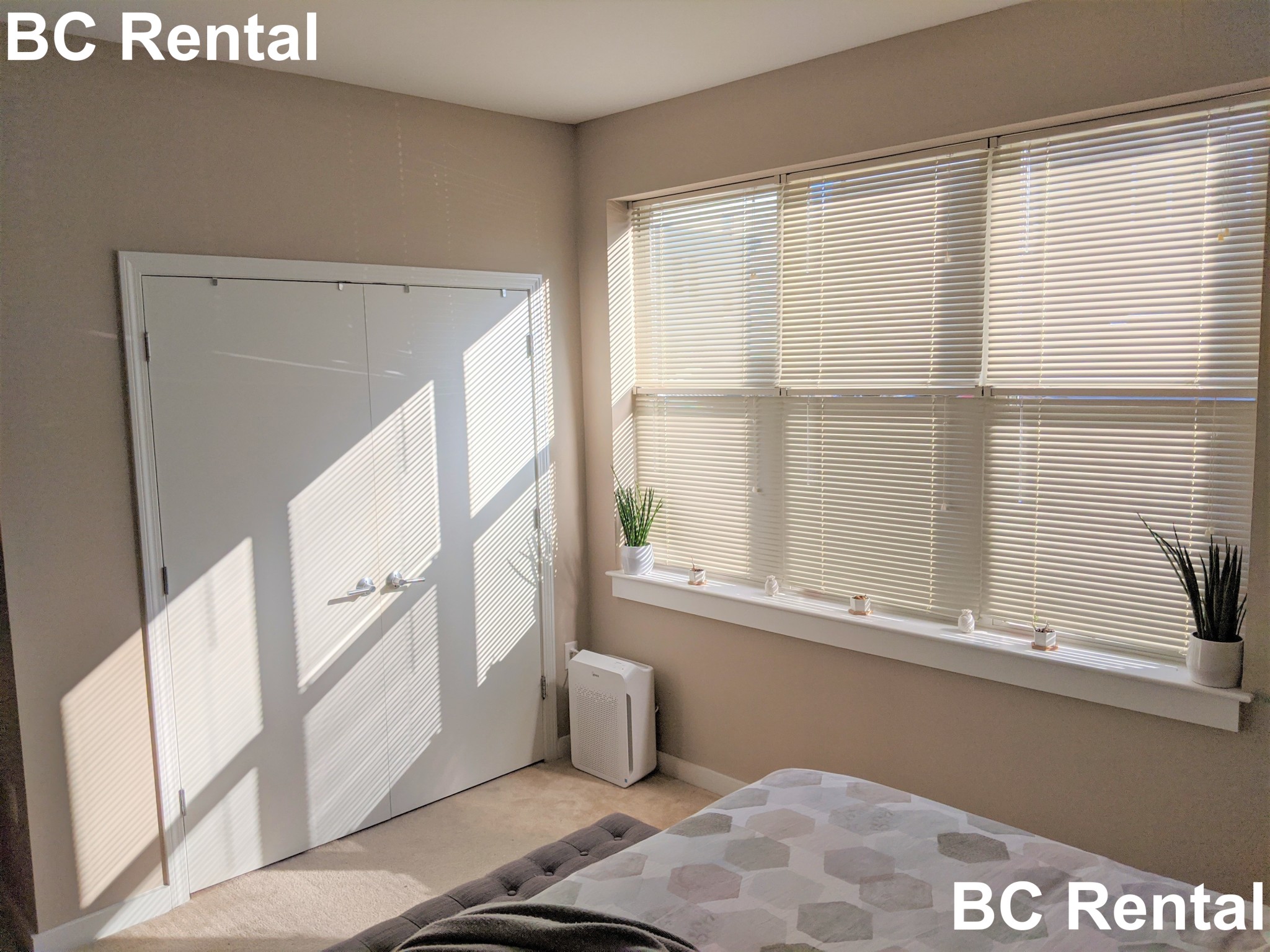 36 Bonair St, East Somerville