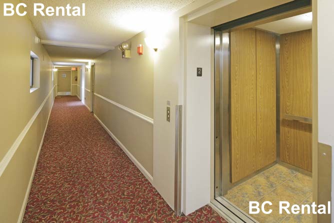 16 Elmer St, Cambridgeport