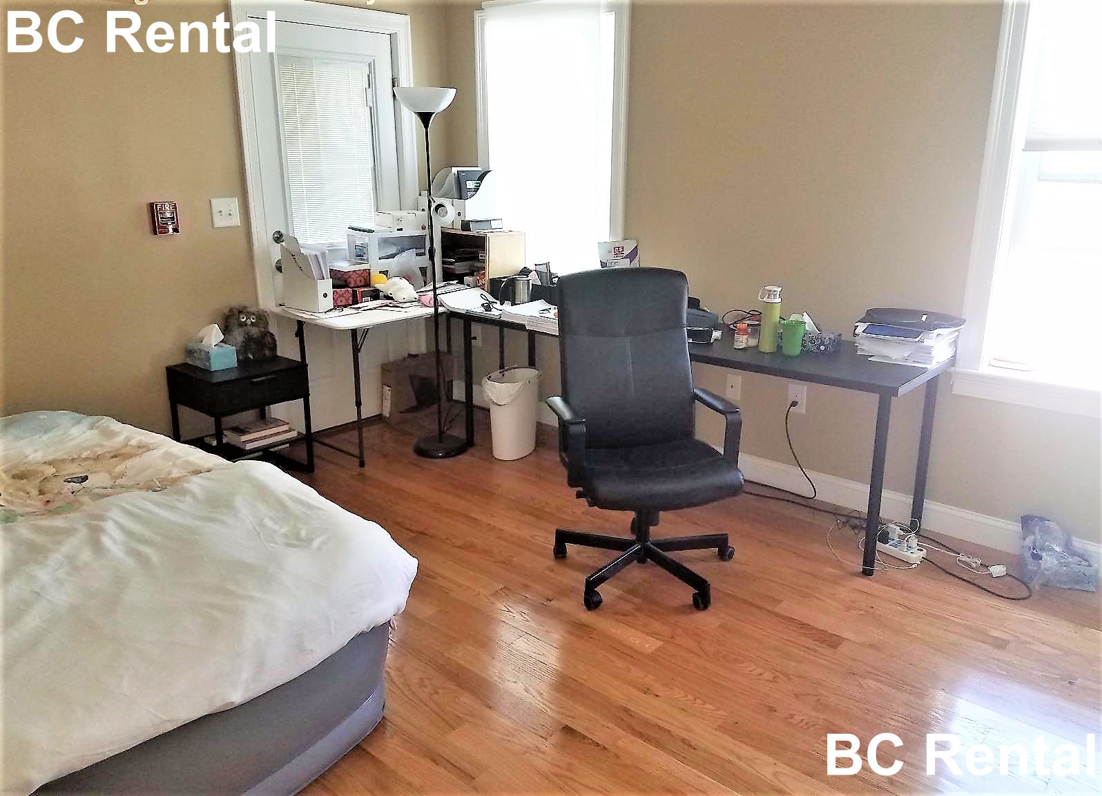 19 Calvin St, Inman Square