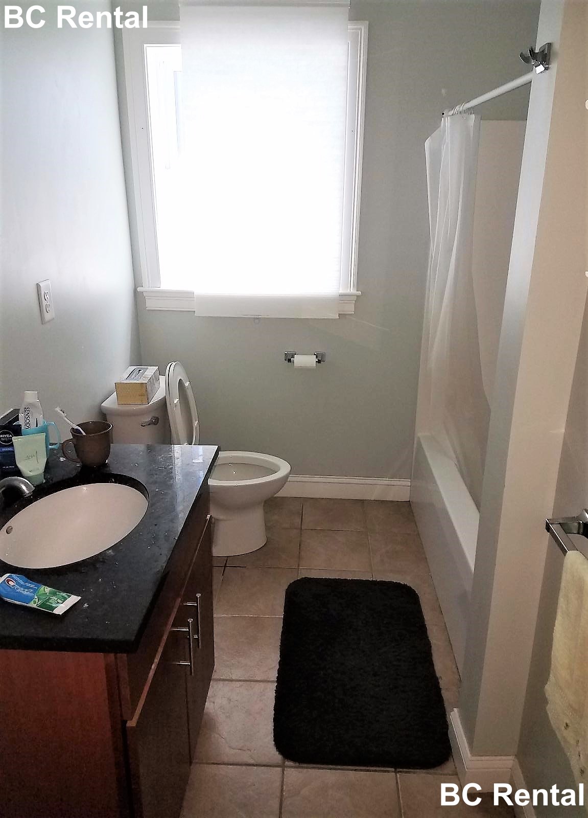 19 Calvin St, Inman Square