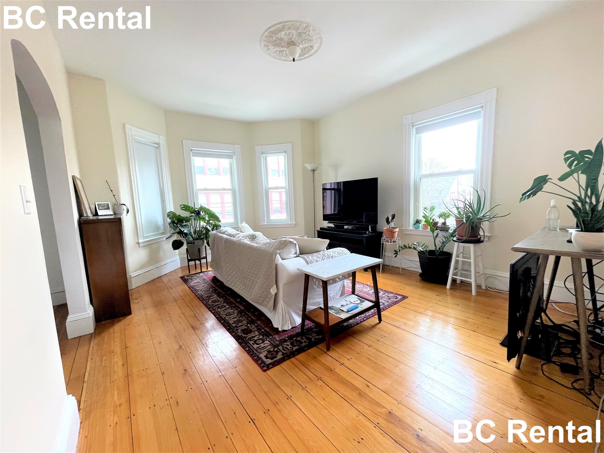 25 Sargent St, North Cambridge