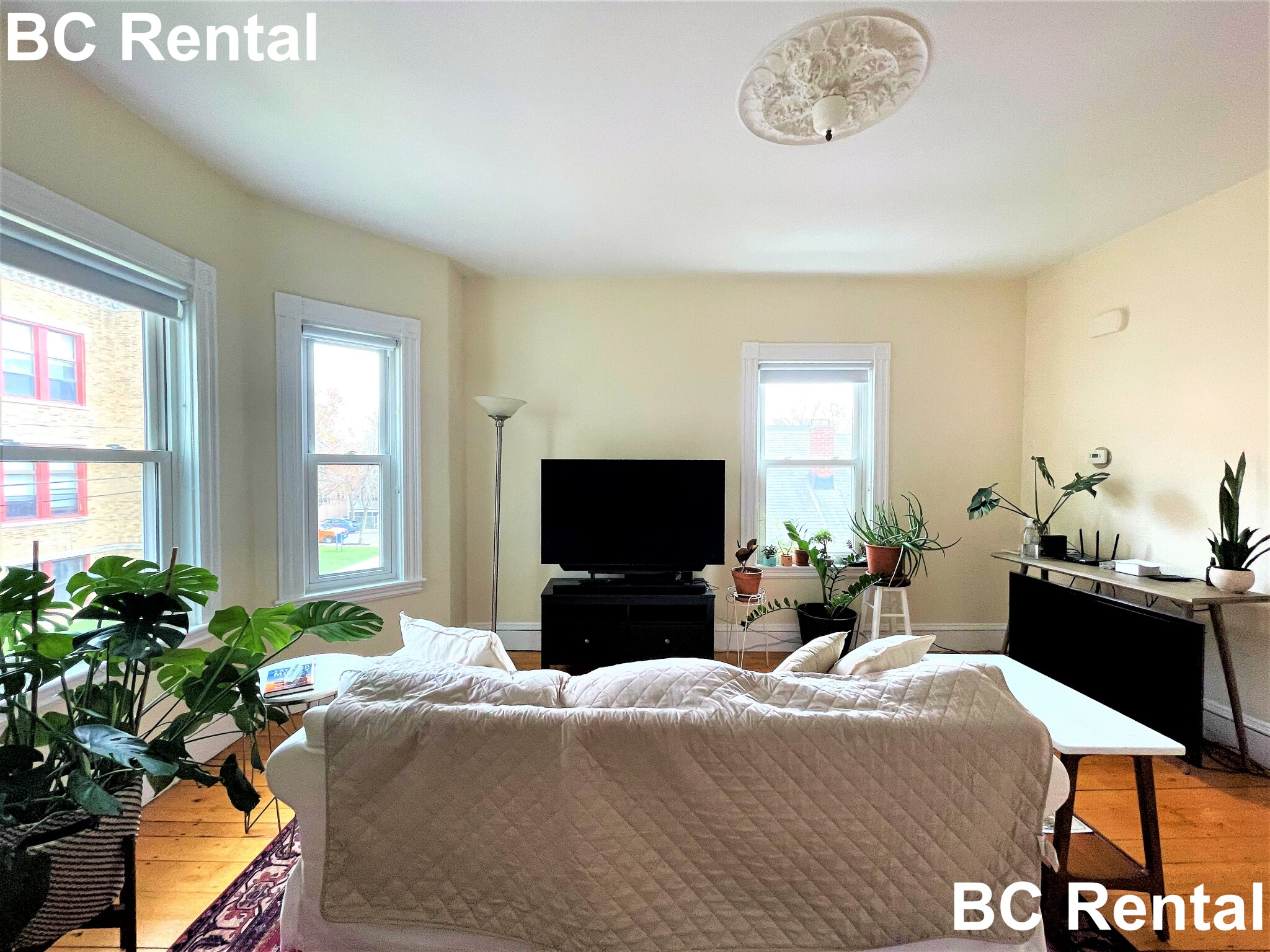 25 Sargent St, North Cambridge