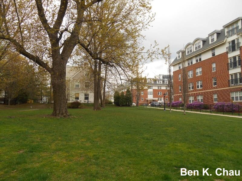 15 Carol Ave, Brighton