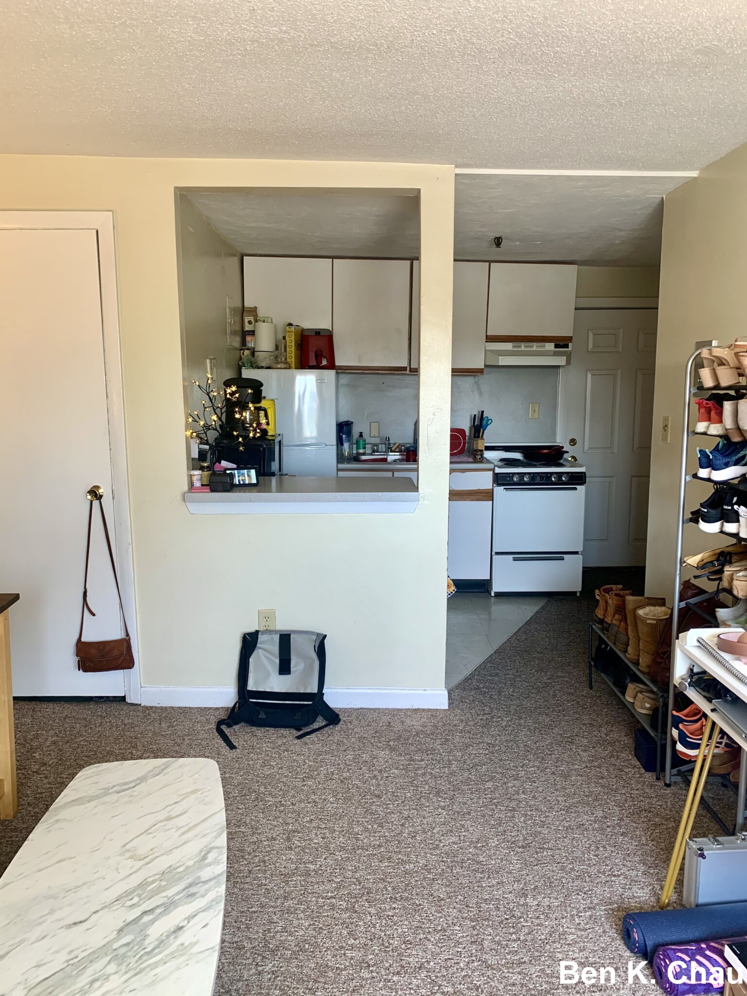 231 Harrison Ave, Chinatown