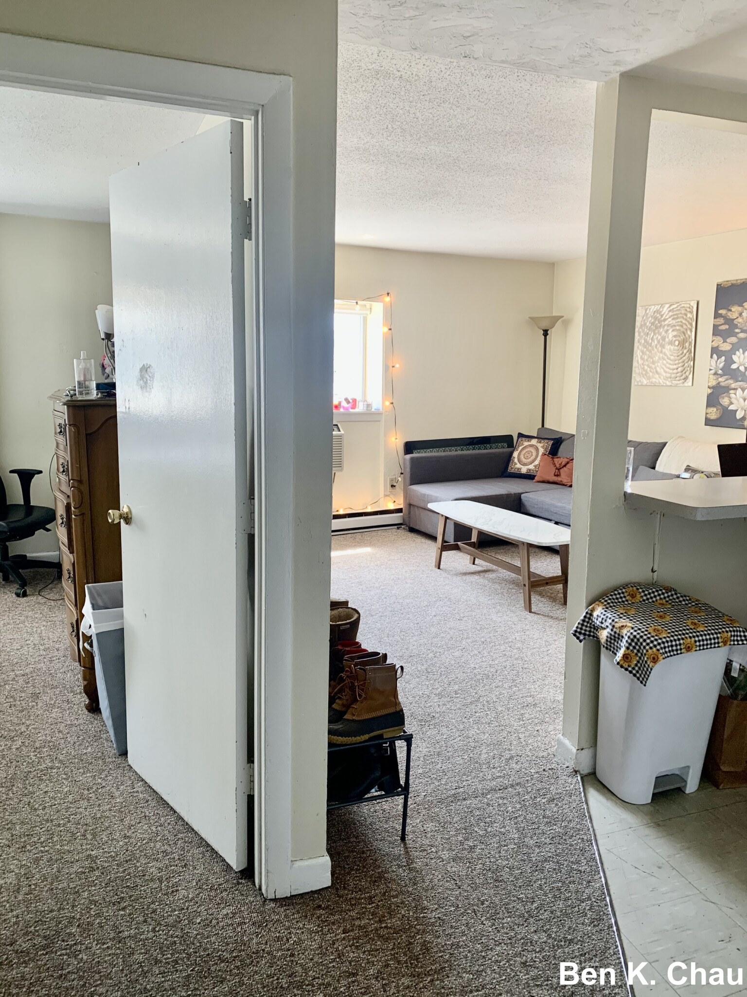 231 Harrison Ave, Chinatown