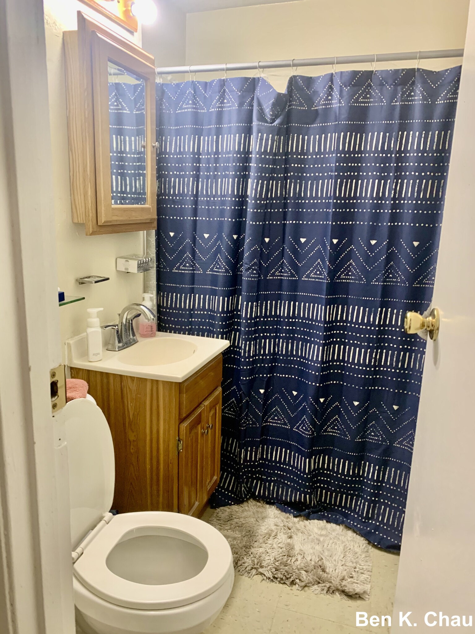 231 Harrison Ave, Chinatown