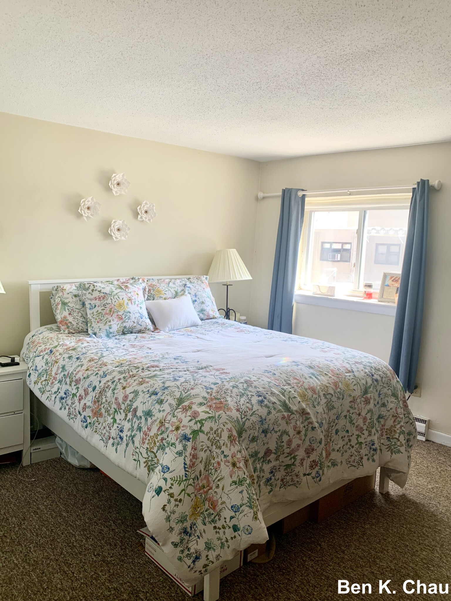 231 Harrison Ave, Chinatown