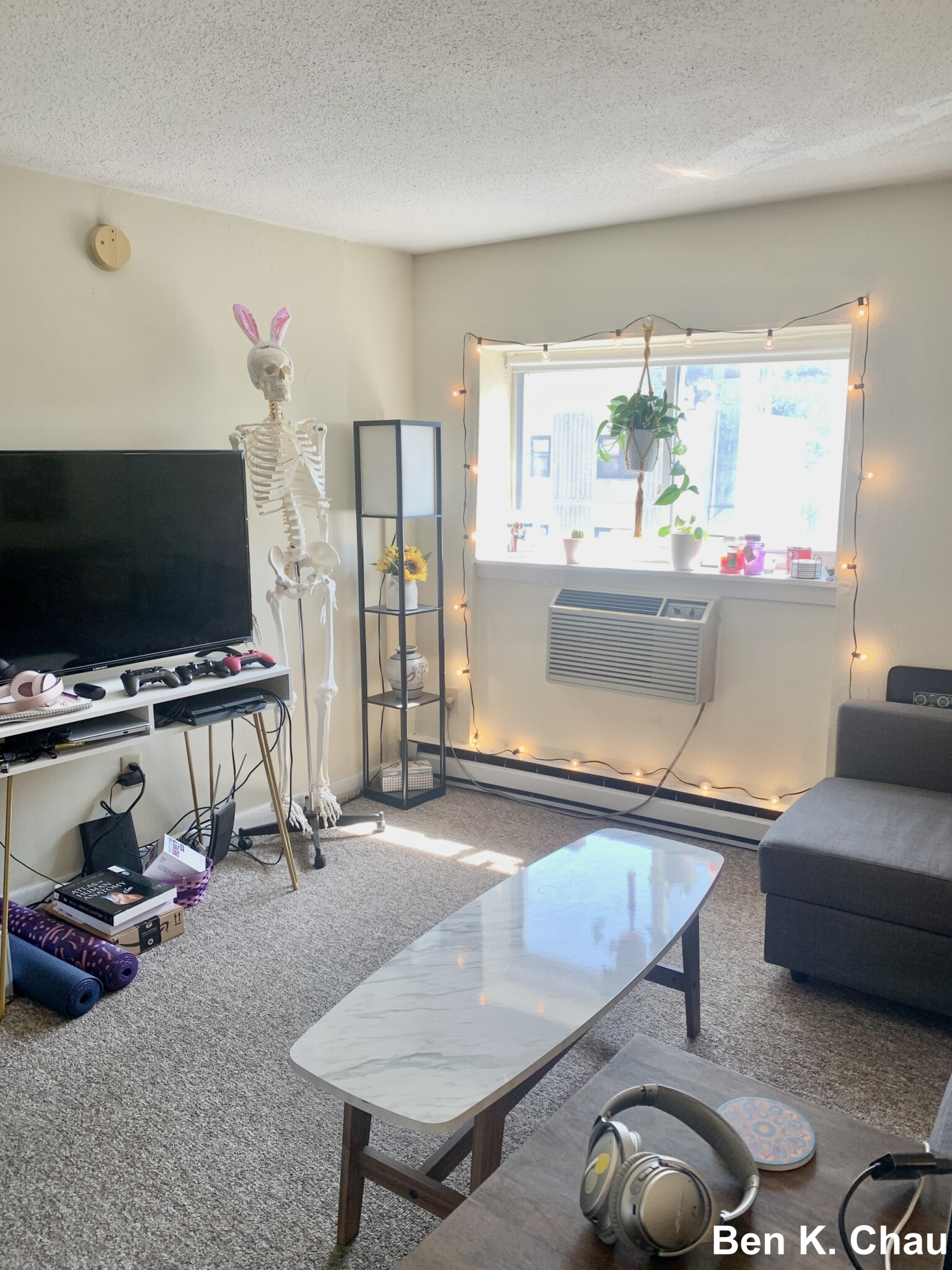 231 Harrison Ave, Chinatown