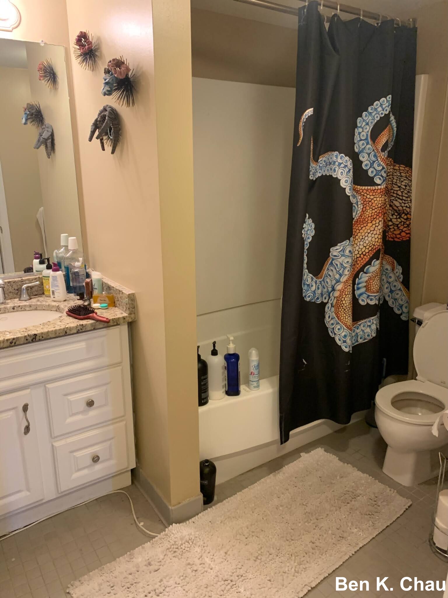 15 North Beacon St, Allston