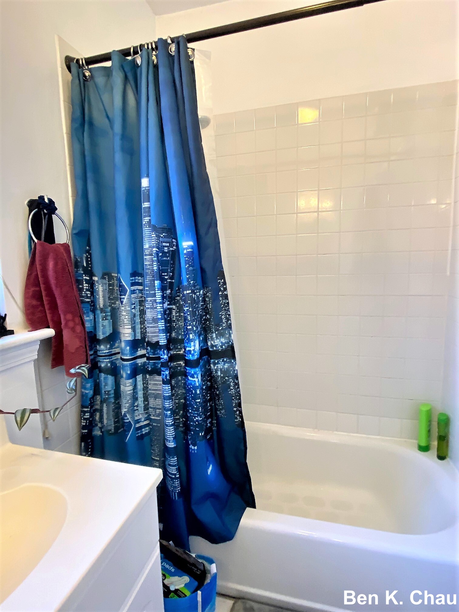 6 Camelot Ct, Brighton