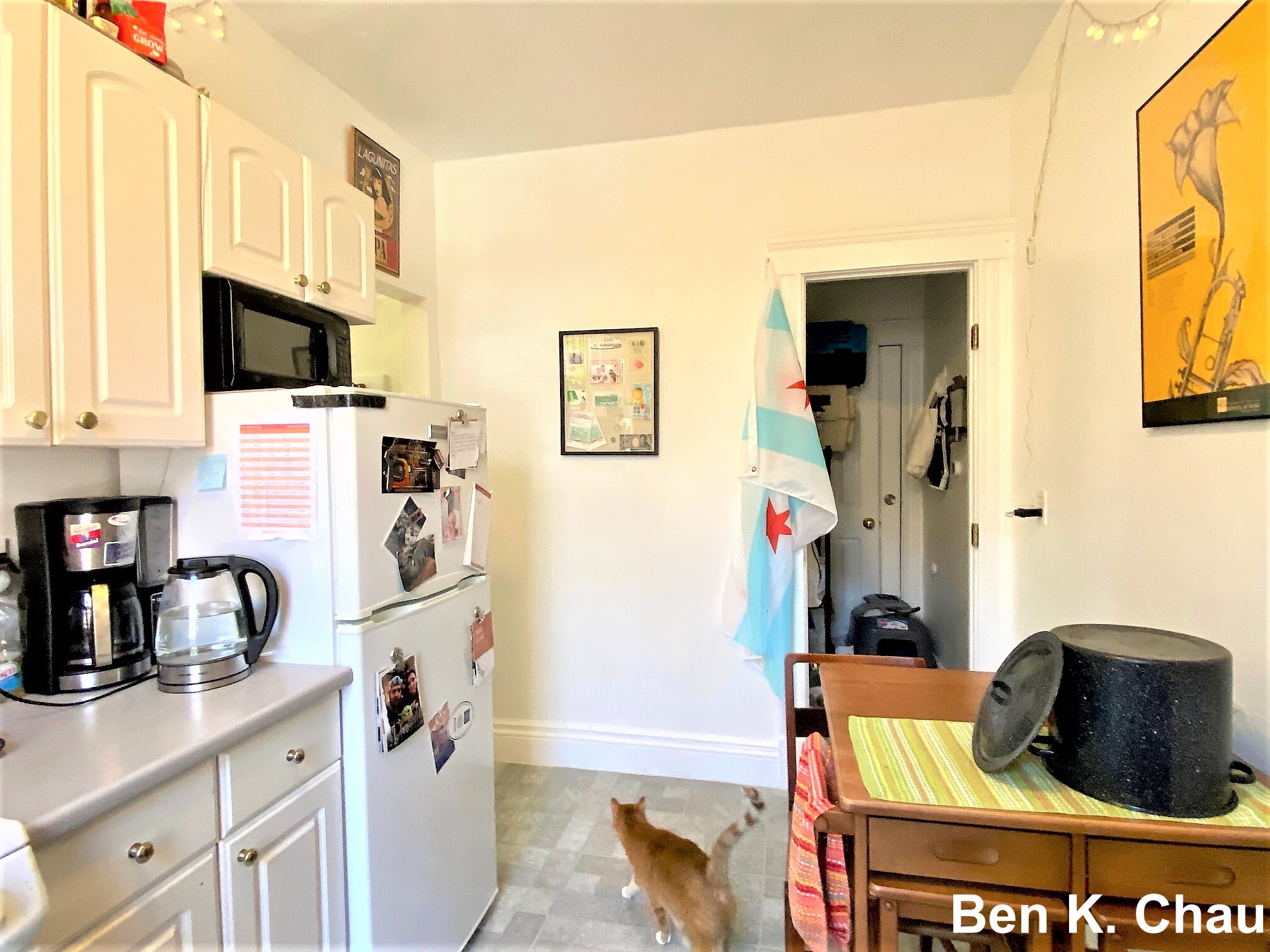 6 Camelot Ct, Brighton