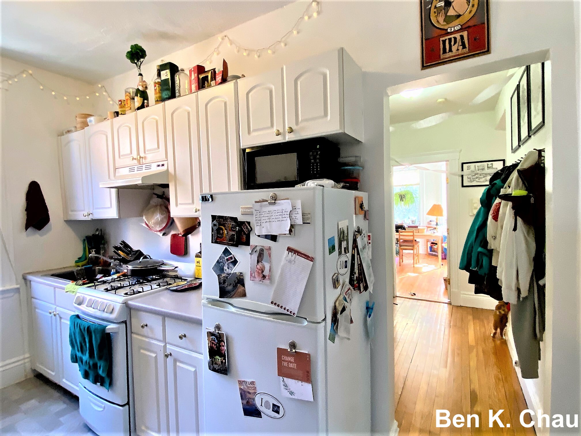 6 Camelot Ct, Brighton