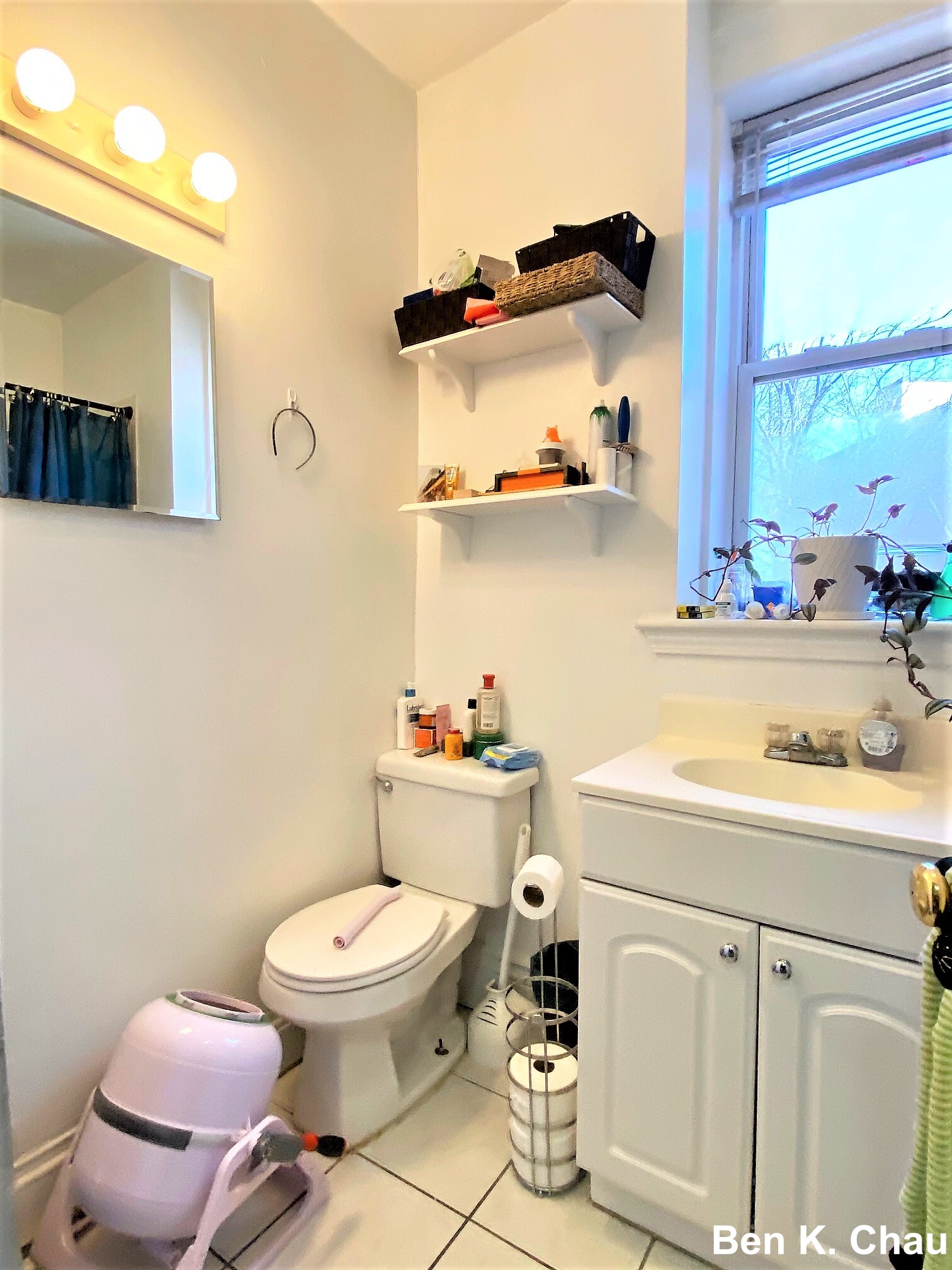 6 Camelot Ct, Brighton