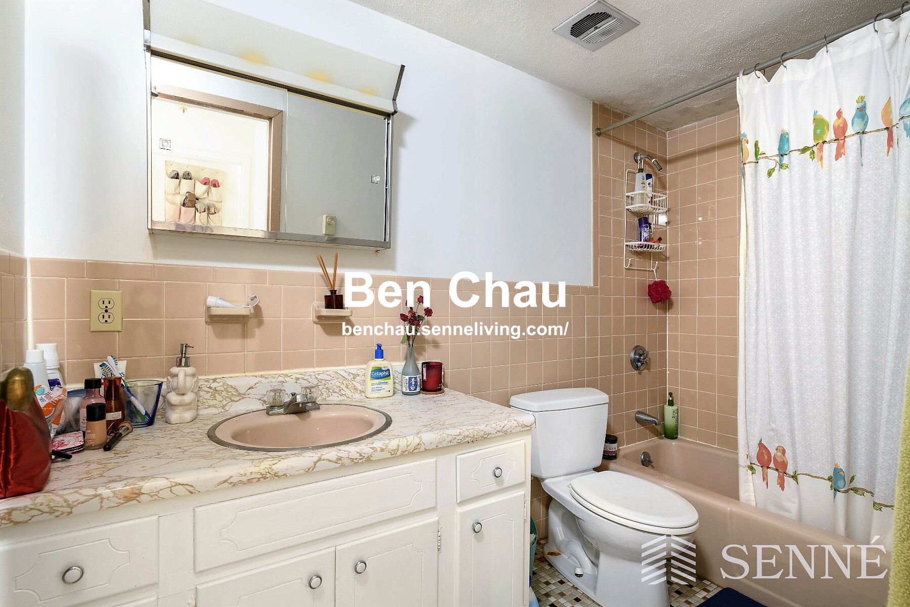 41 Belmont St, Porter Square