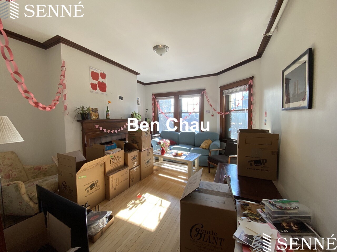 5 Linnaean St, Porter Square