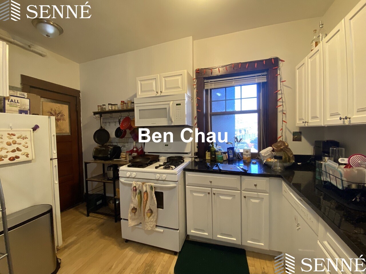 5 Linnaean St, Porter Square