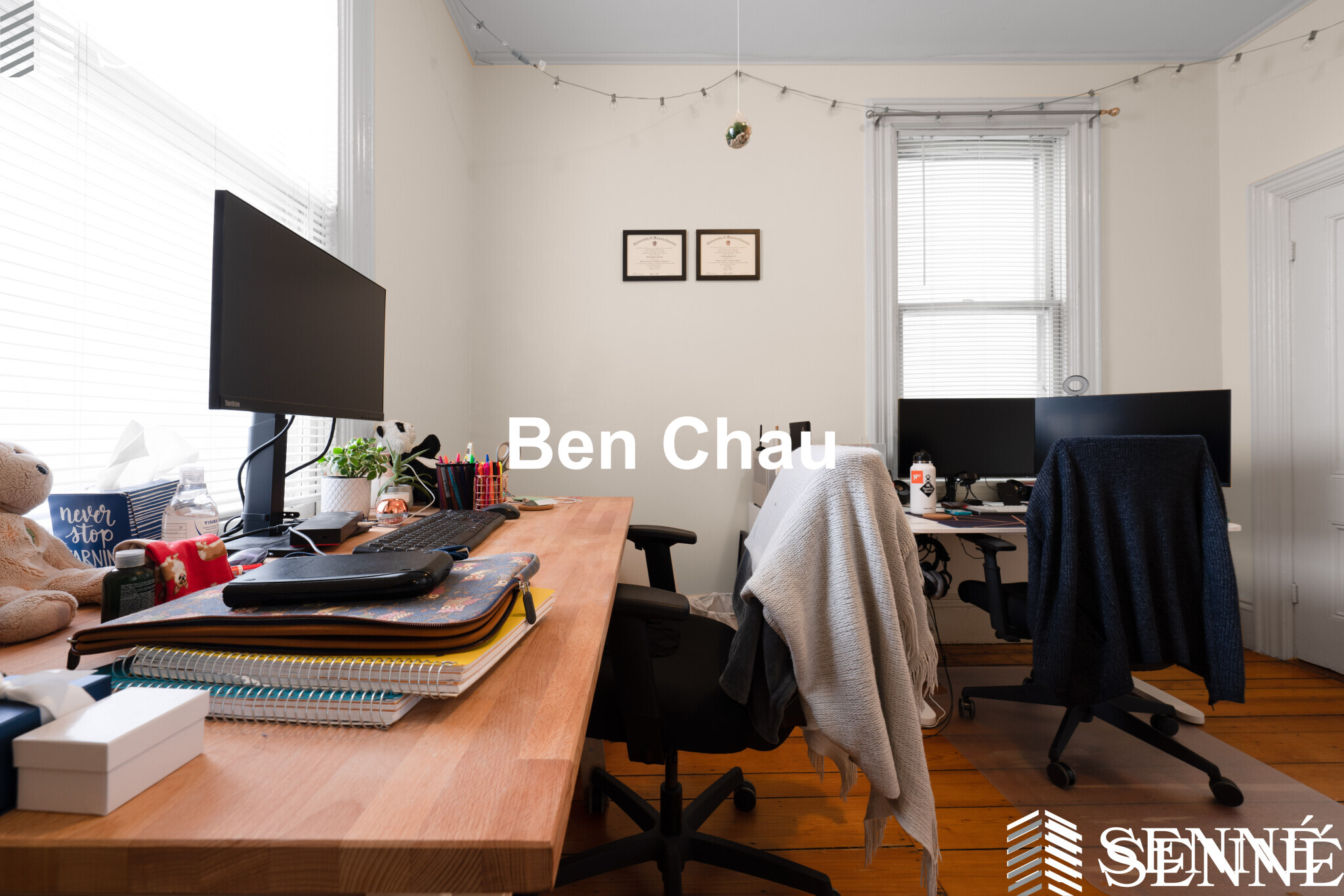 352 Norfolk St, Wellington-Harrington