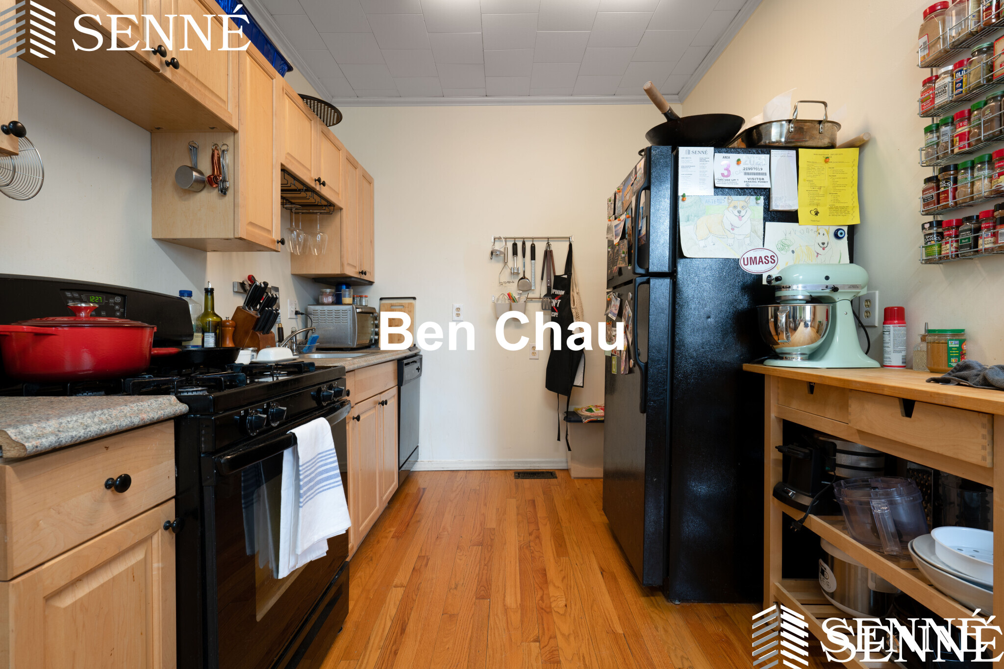 352 Norfolk St, Wellington-Harrington