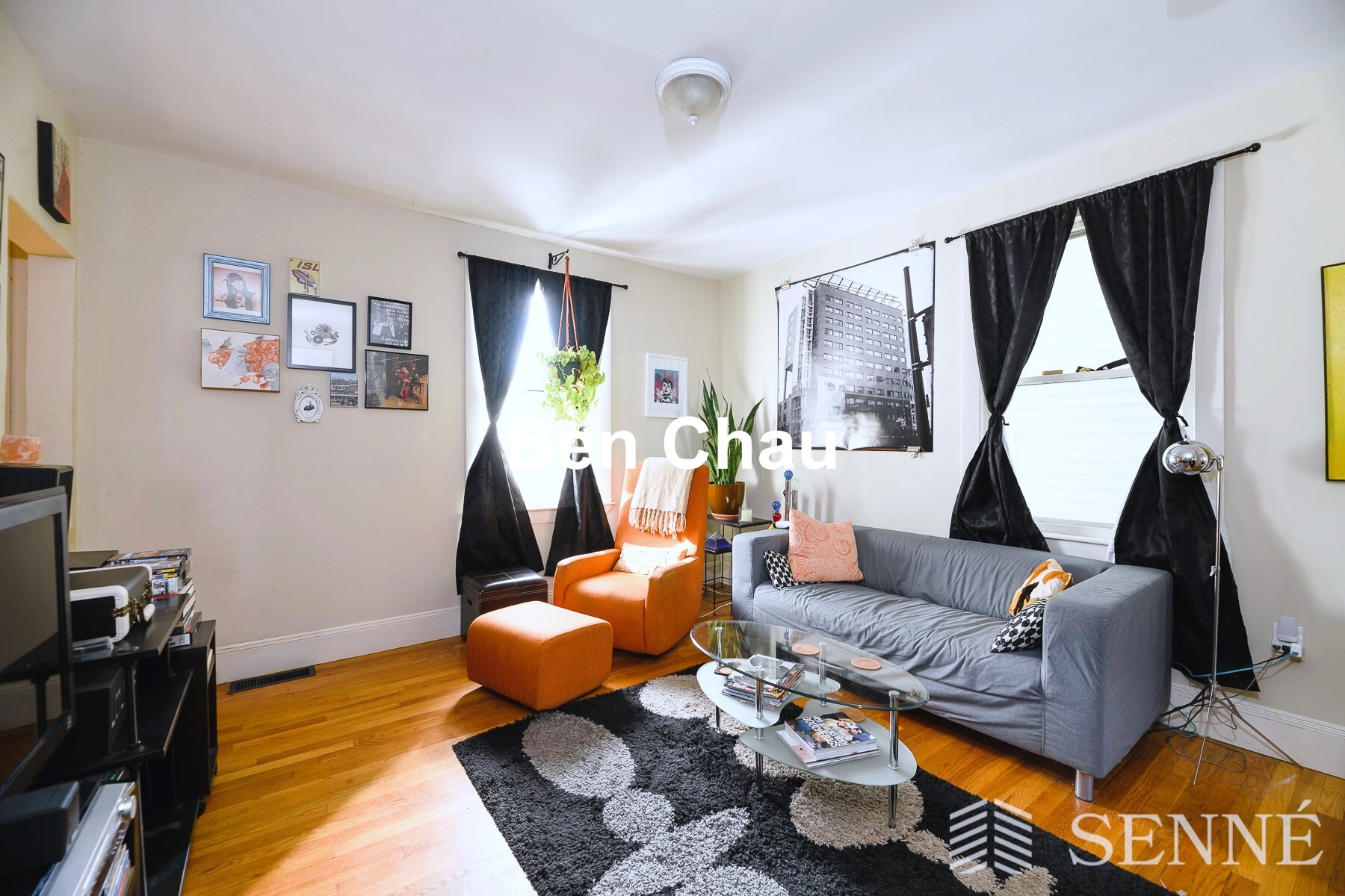 352 Norfolk St, Wellington-Harrington