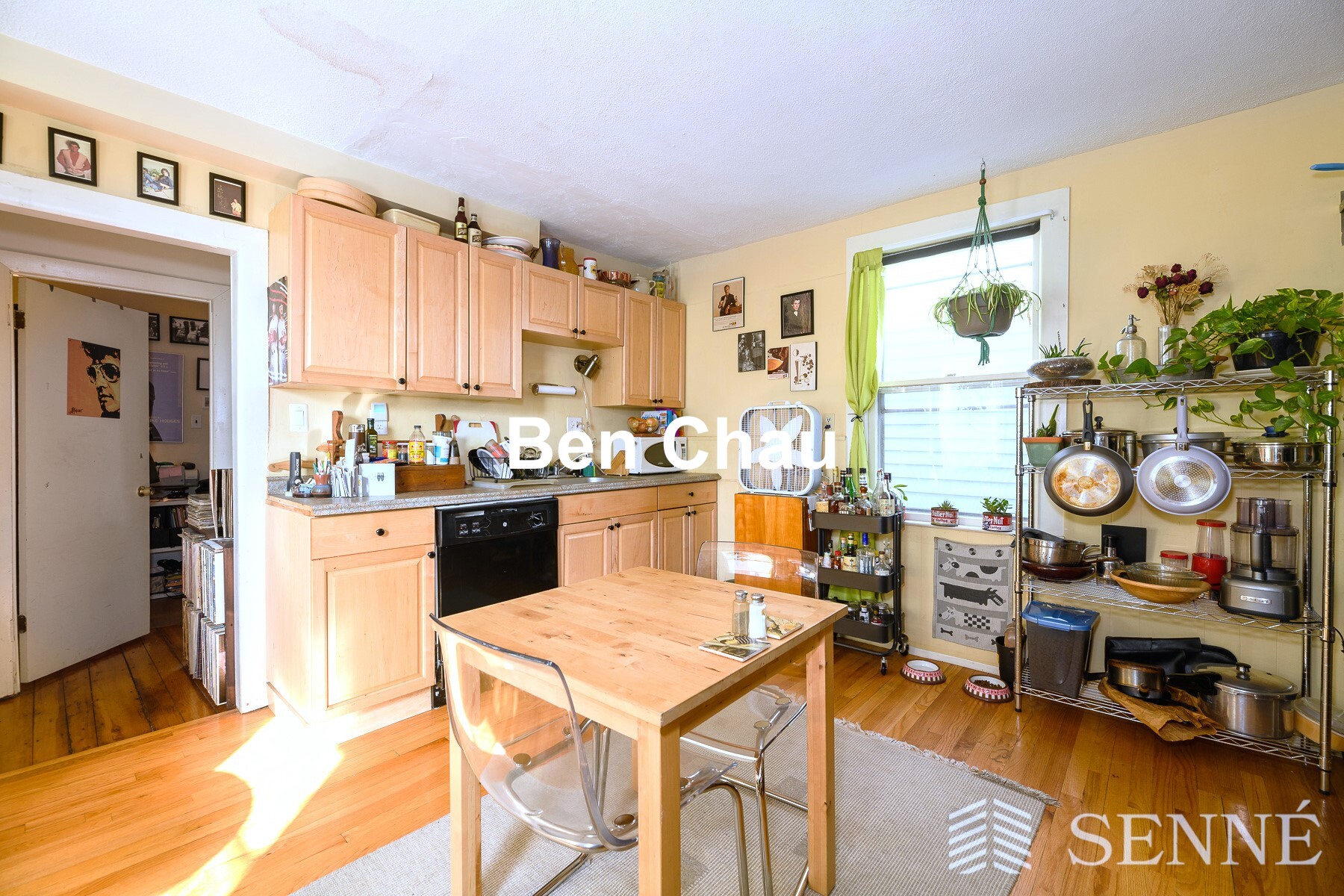 352 Norfolk St, Wellington-Harrington