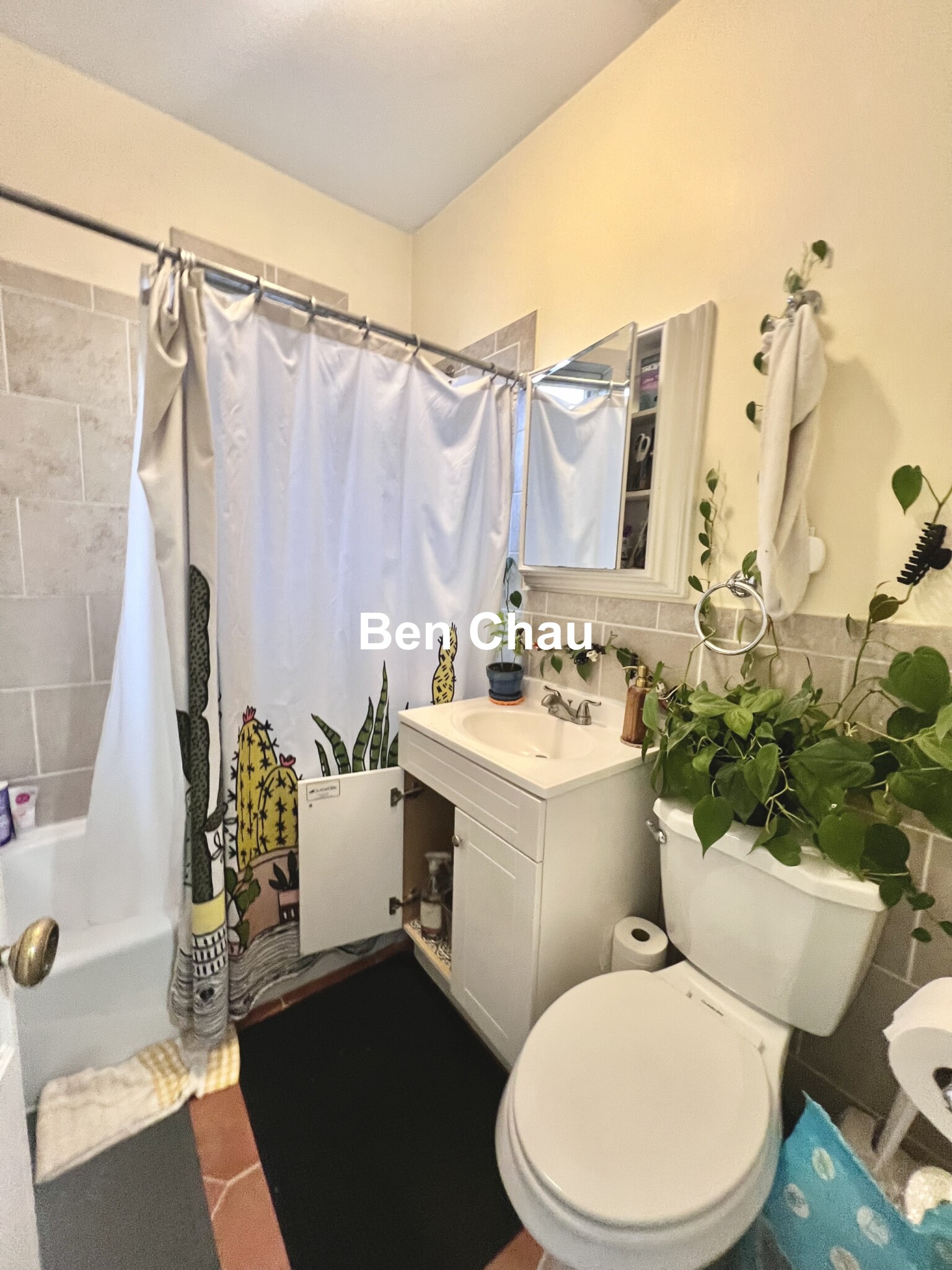 5 Sherborn Ct, South Medford