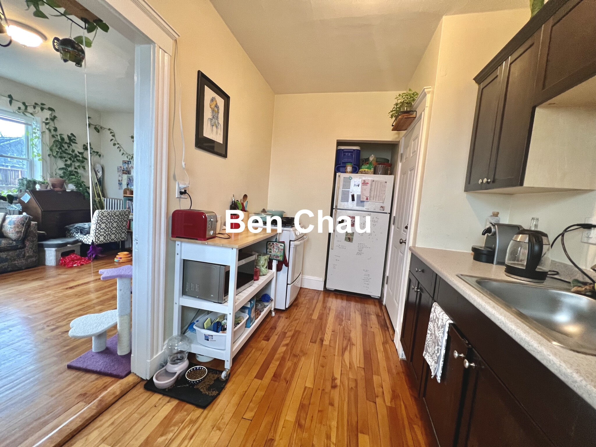 5 Sherborn Ct, South Medford