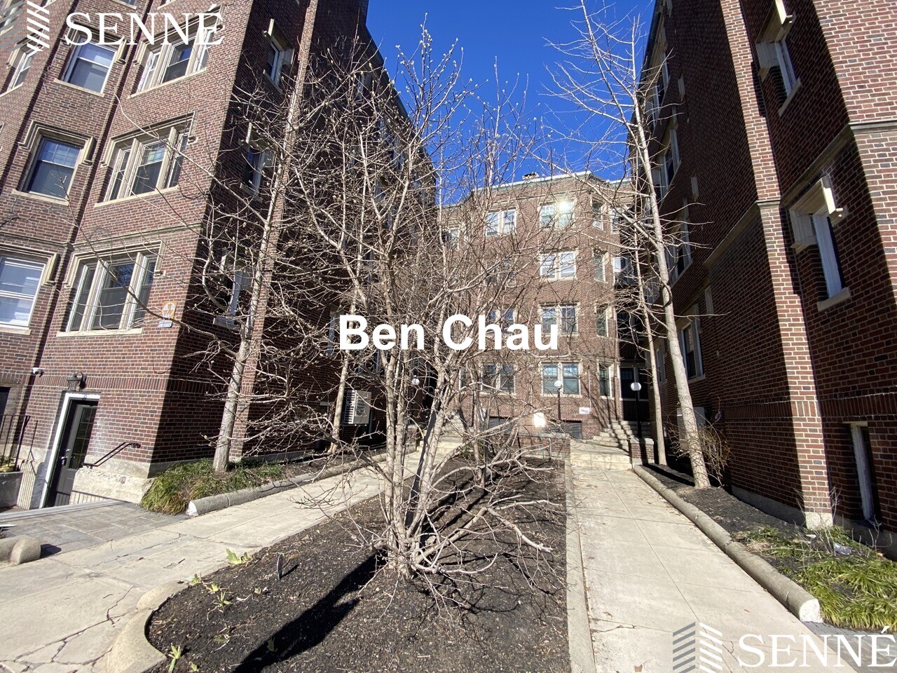 5 Linnaean St, Neighborhood Nine