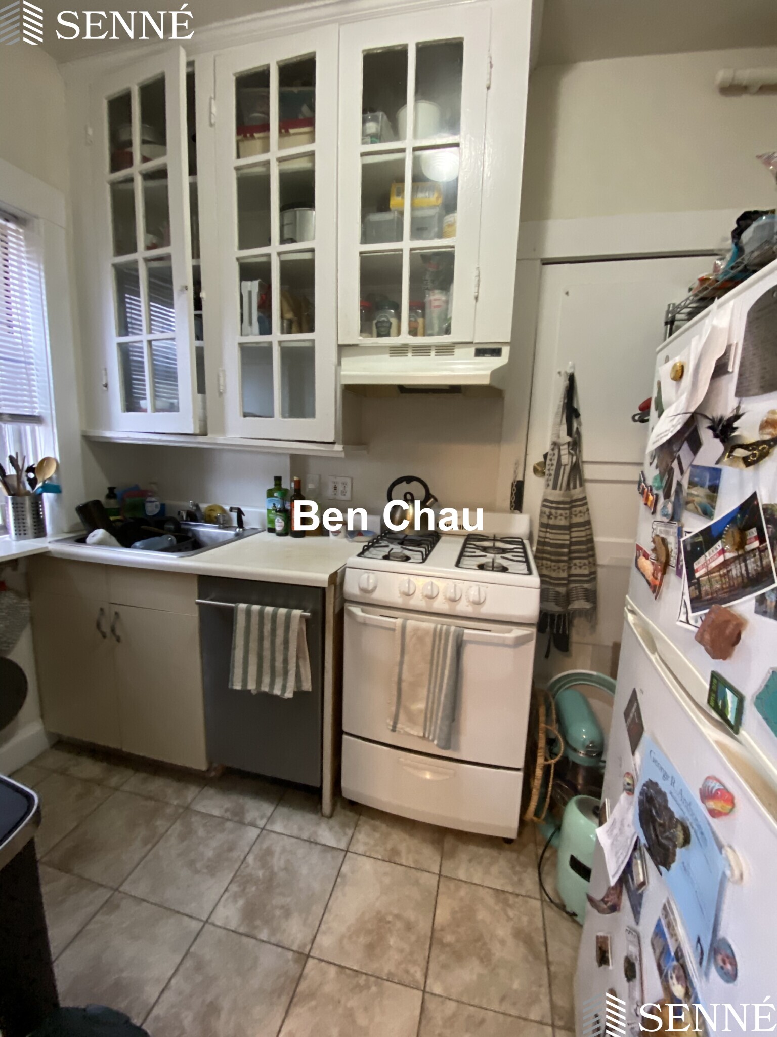 5 Linnaean St, Neighborhood Nine